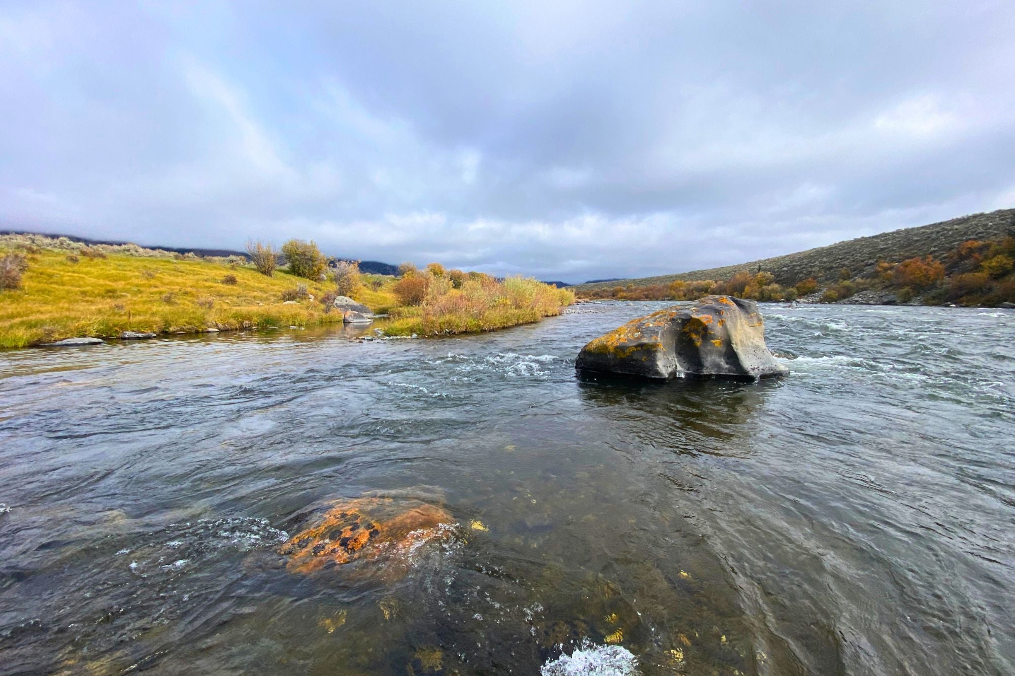 Madison River Report - October 26, 2023