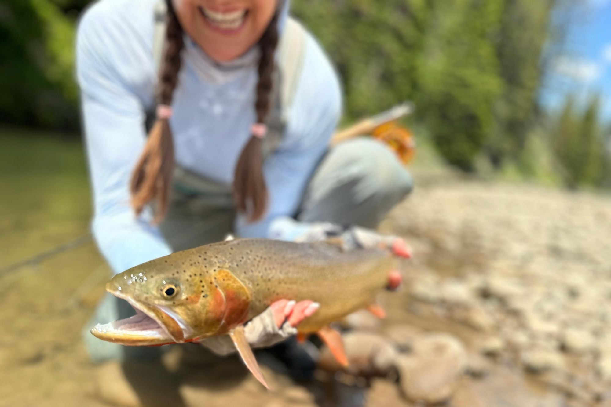 YNP Report July 10, 2025 – Big Sky Anglers - Main Image