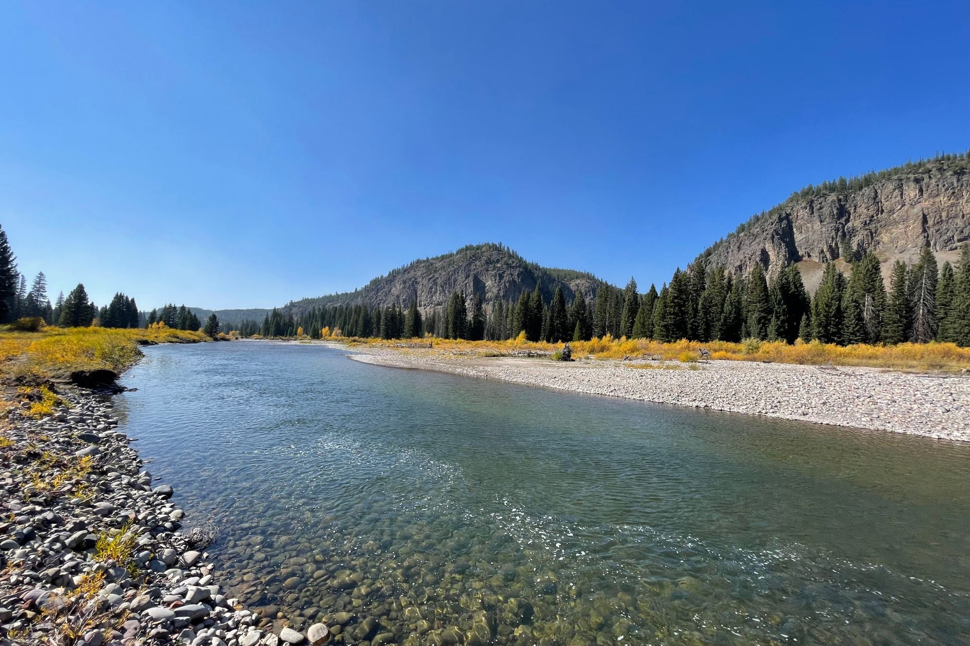 YNP Report October 10, 2024 – Big Sky Anglers