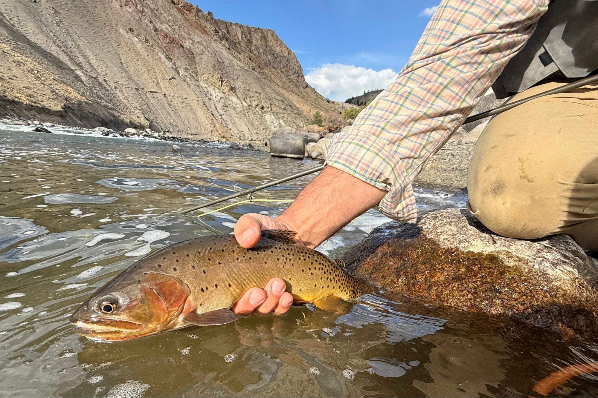Yellowstone National Park Fishing Report October 2, 2025 – Big