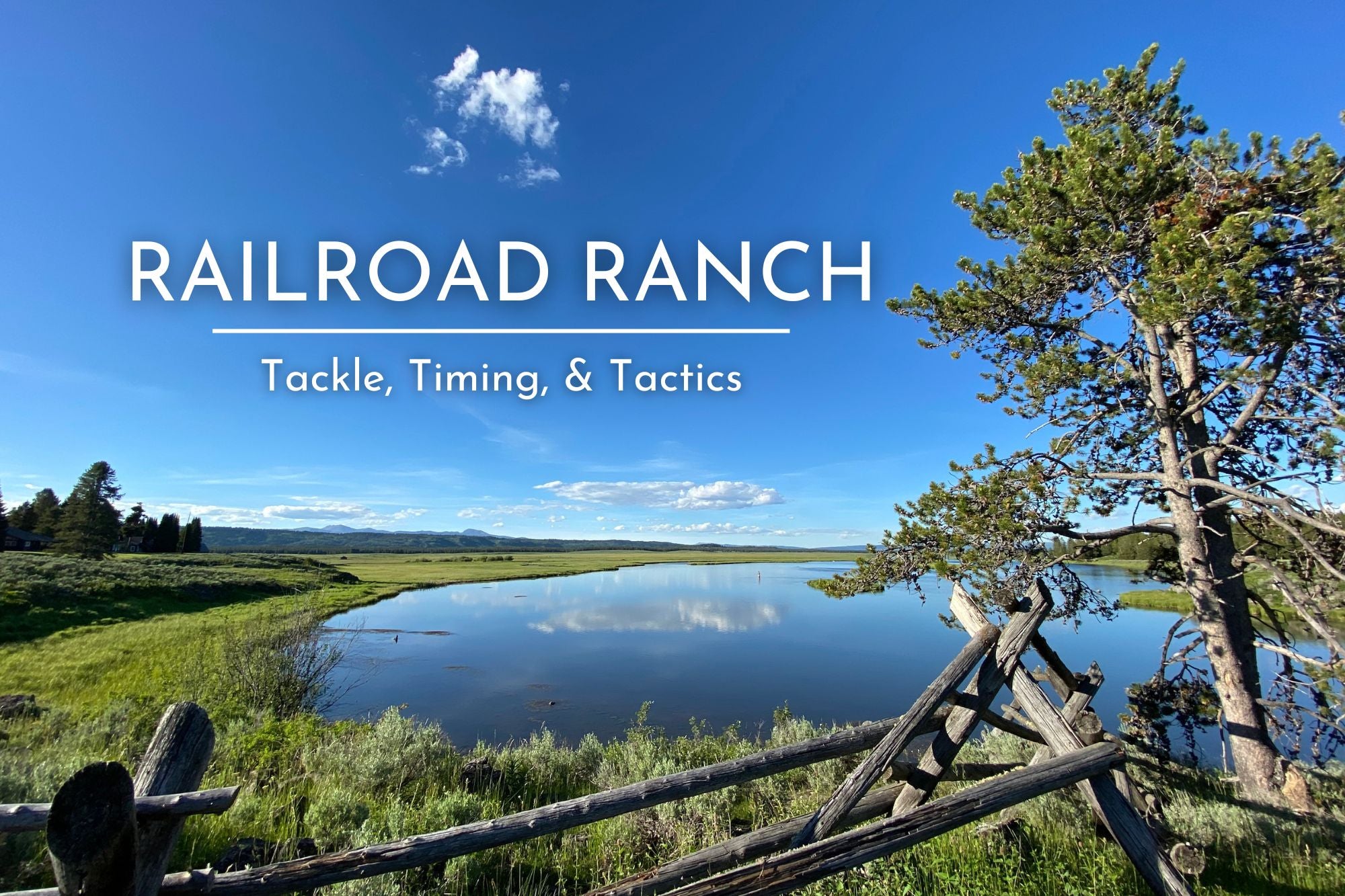 The Railroad Ranch - Tackle, Timing & Tactics. – Big Sky Anglers