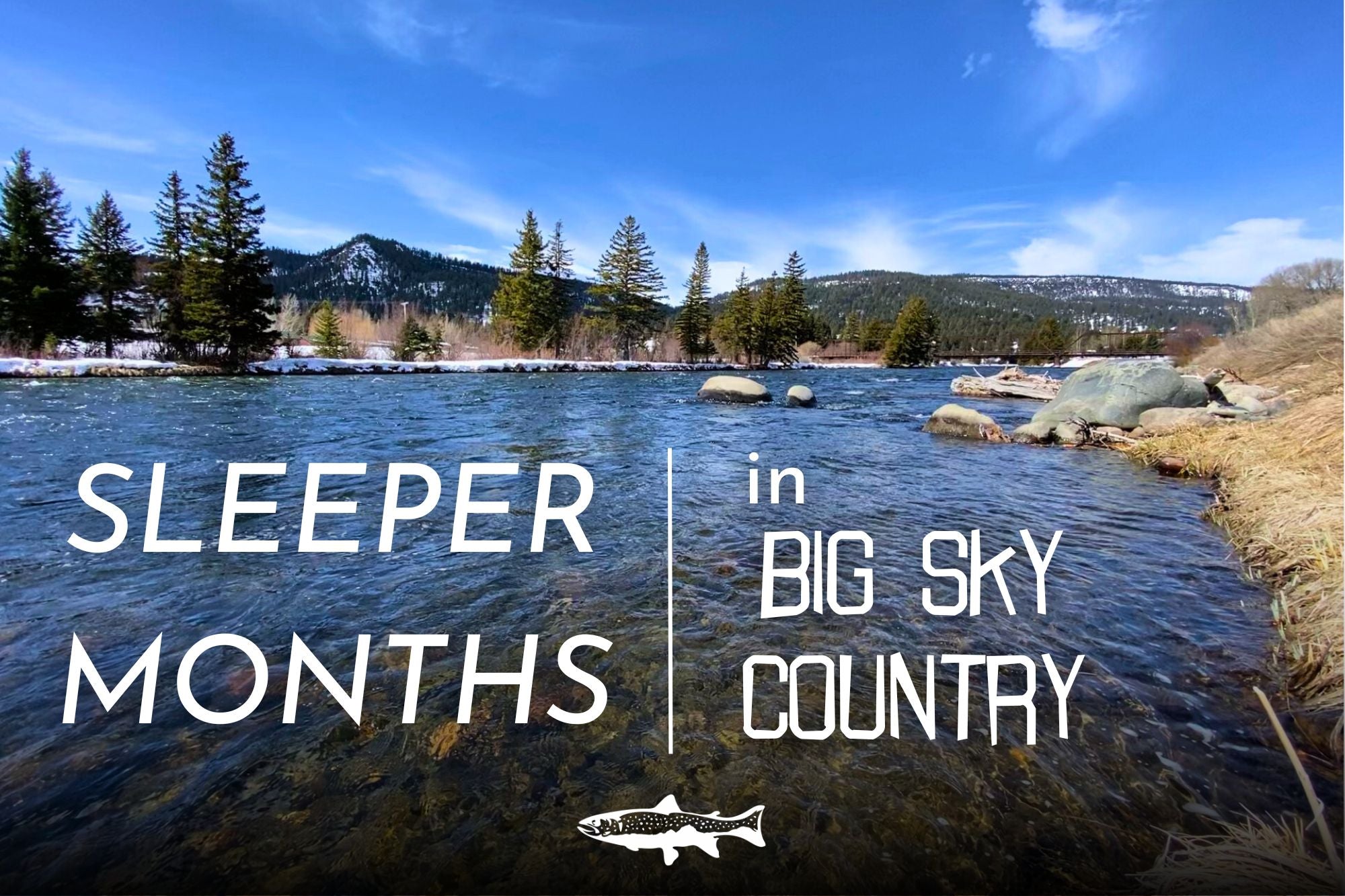 Sleeper Months in Big Sky Country
