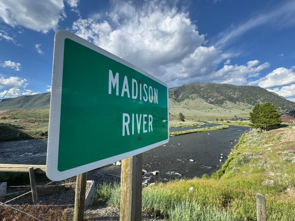 Madison River Fishing Report - July 30, 2026