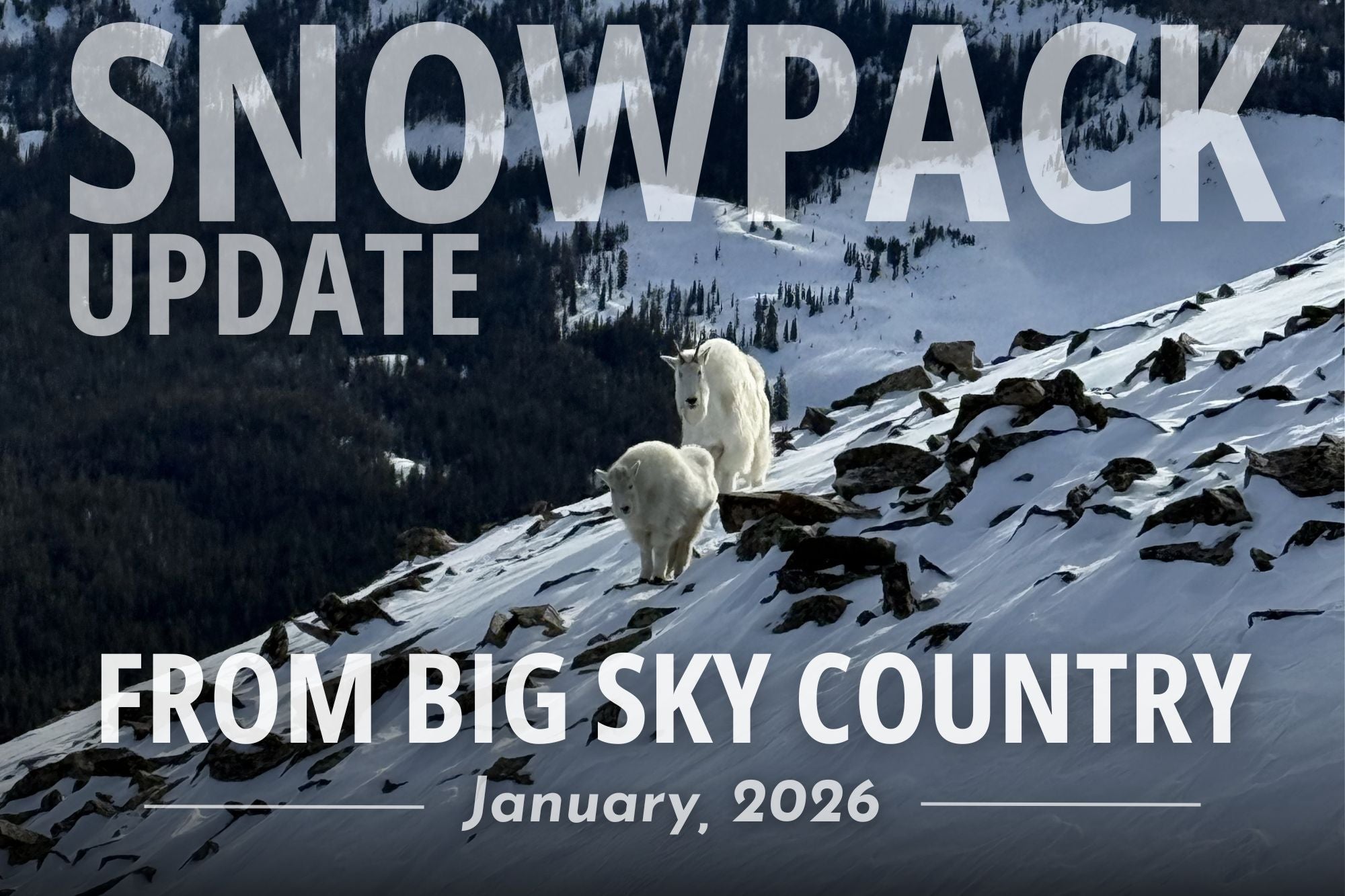 Big Sky Country Snowpack Report - February, 2026