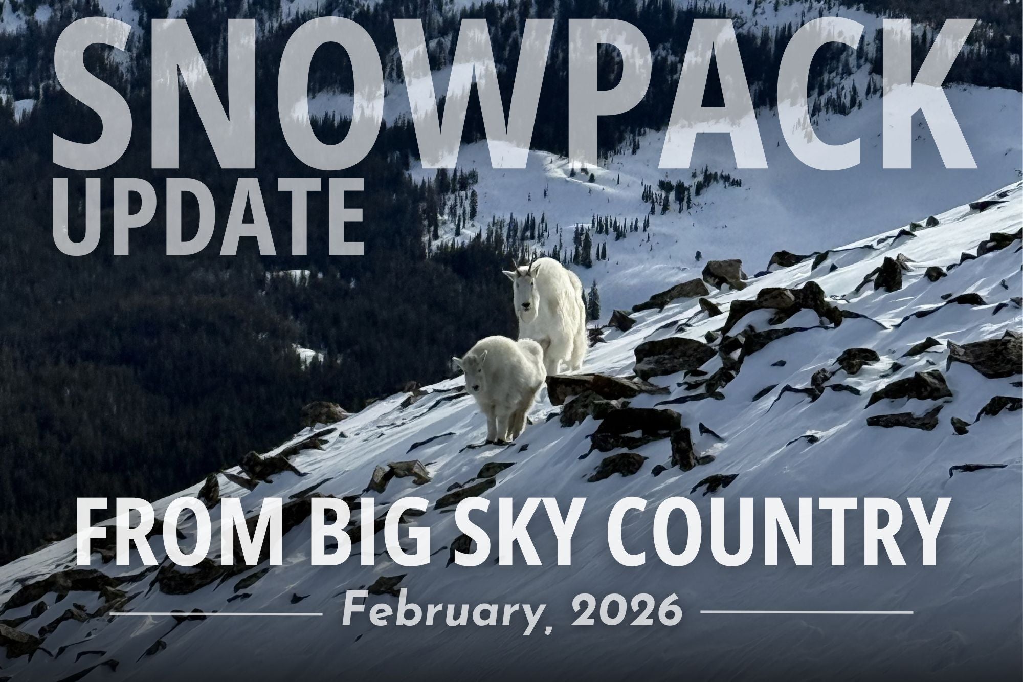 Big Sky Country Snowpack Report - February, 2026