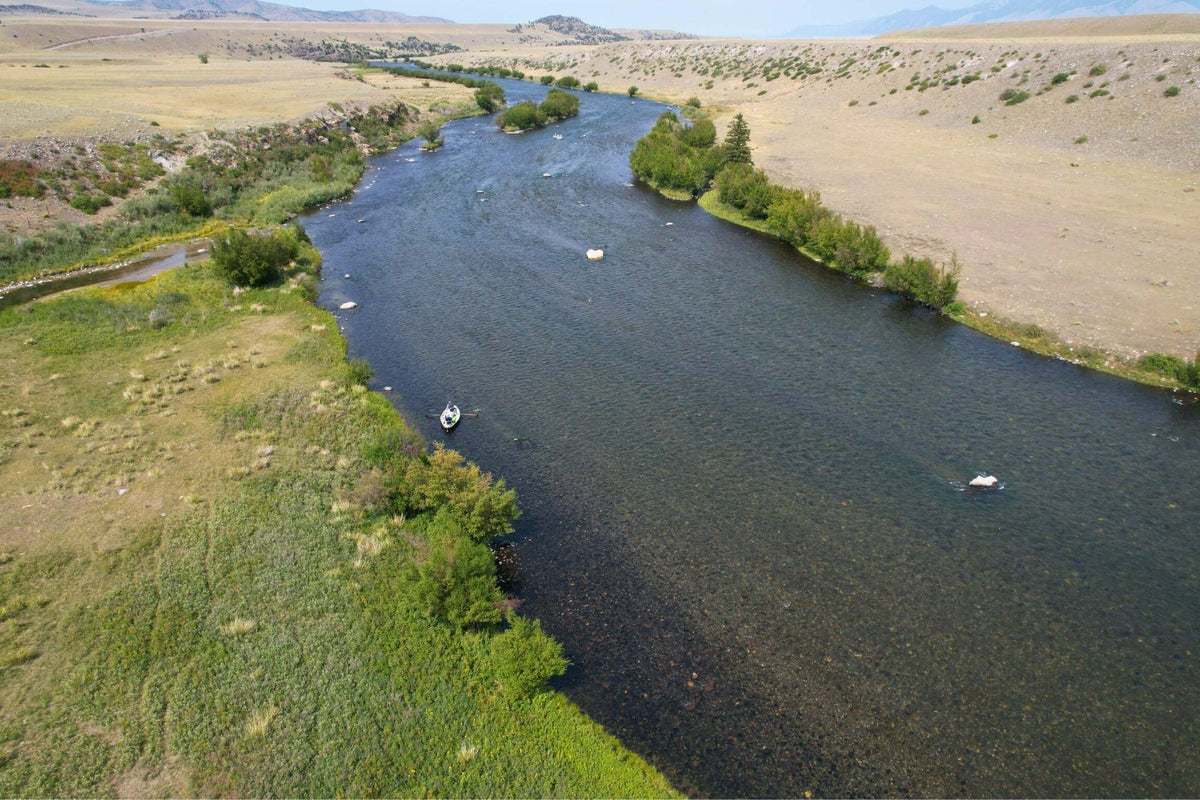 Madison River Fishing Report - August 21, 2025 – Big Sky Anglers