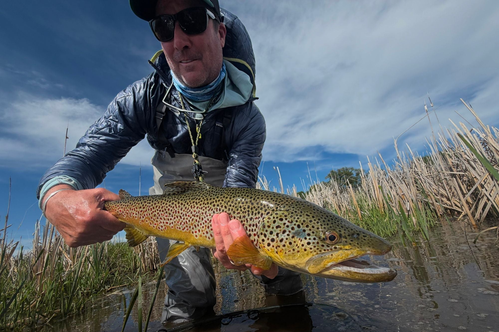 Henry's Fork Fishing Report - June 4, 2026