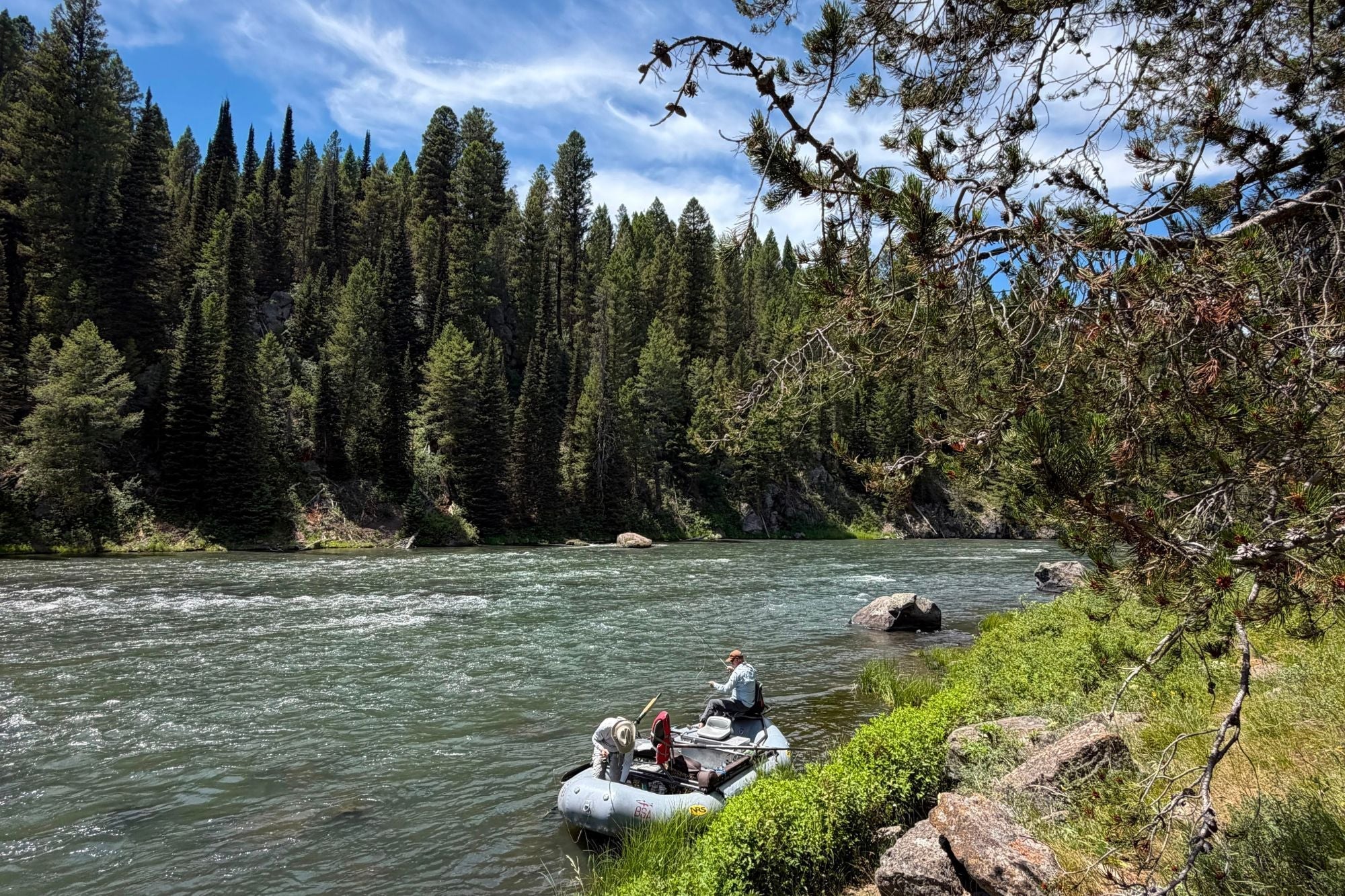 Henry's Fork Fishing Report - July 16, 2026