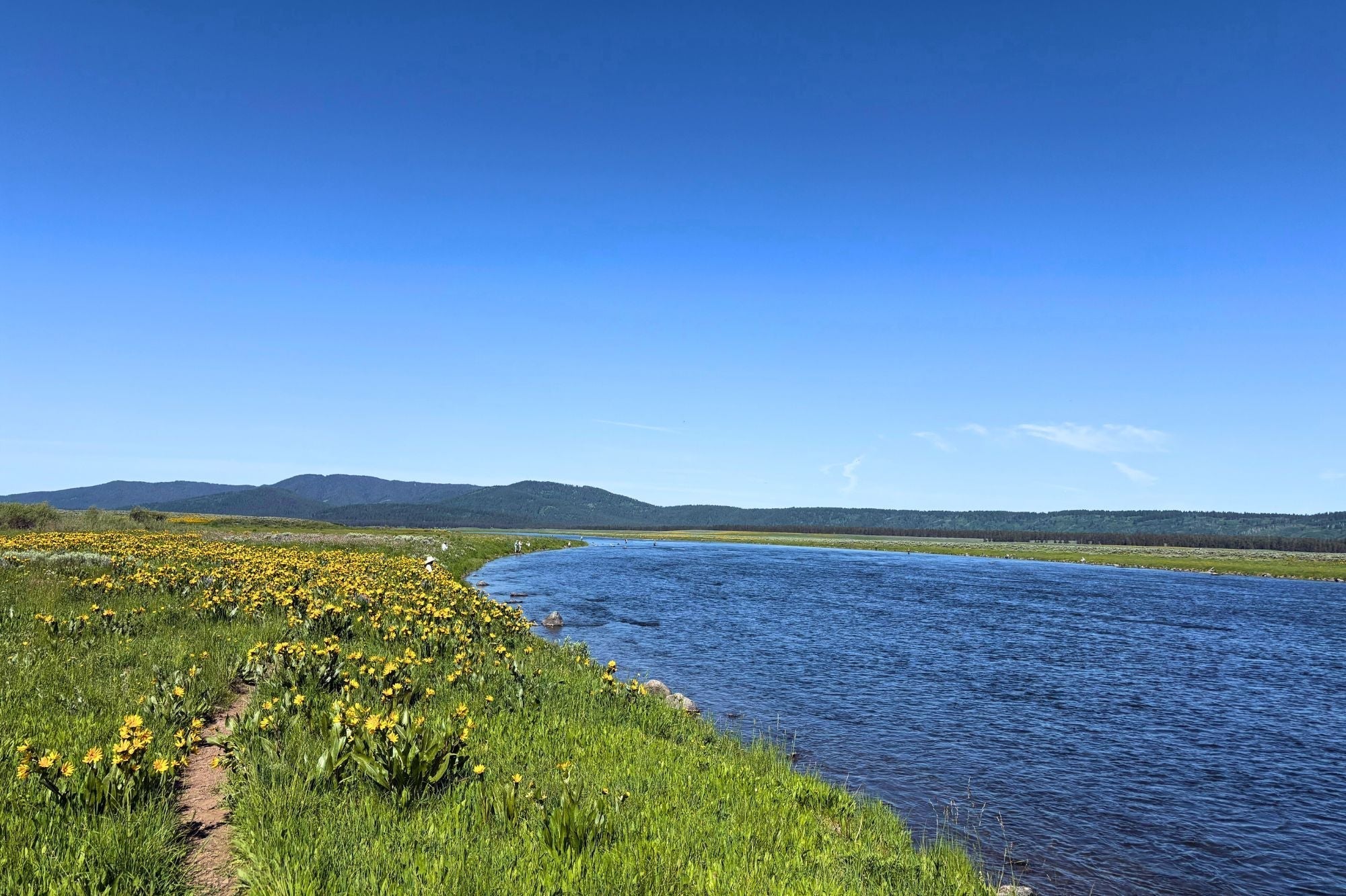Henry's Fork Report - June 19, 2025