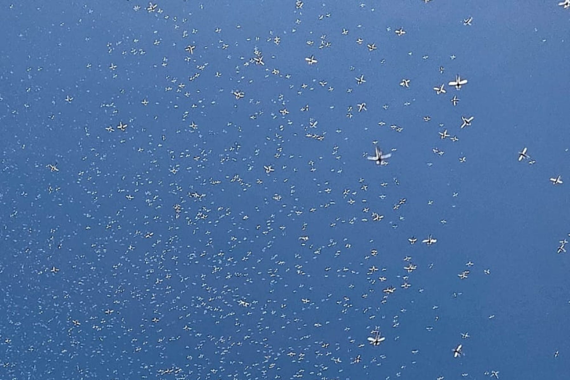 Lakes Report - May 29, 2025