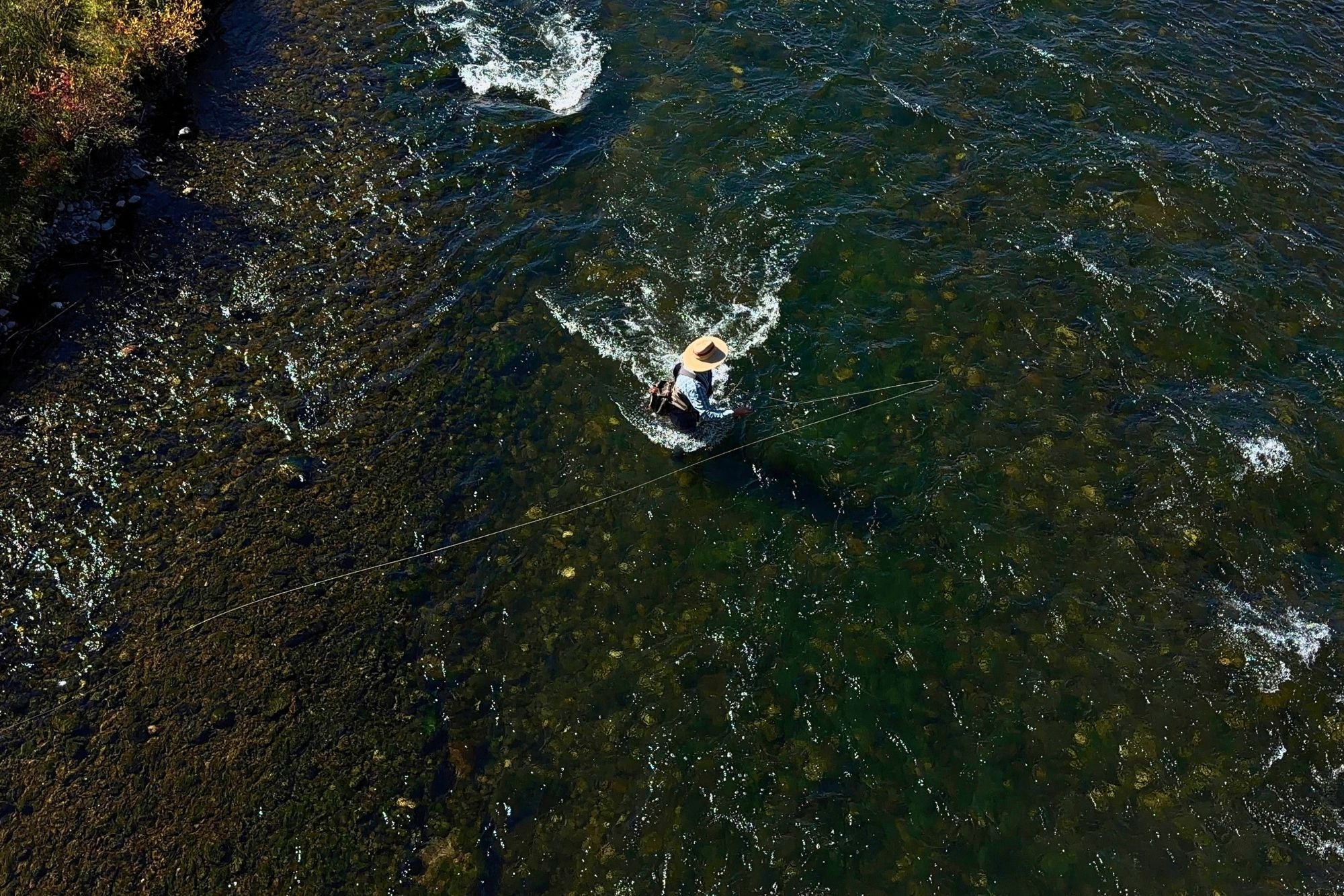 Madison River Fishing Report - October 8, 2026