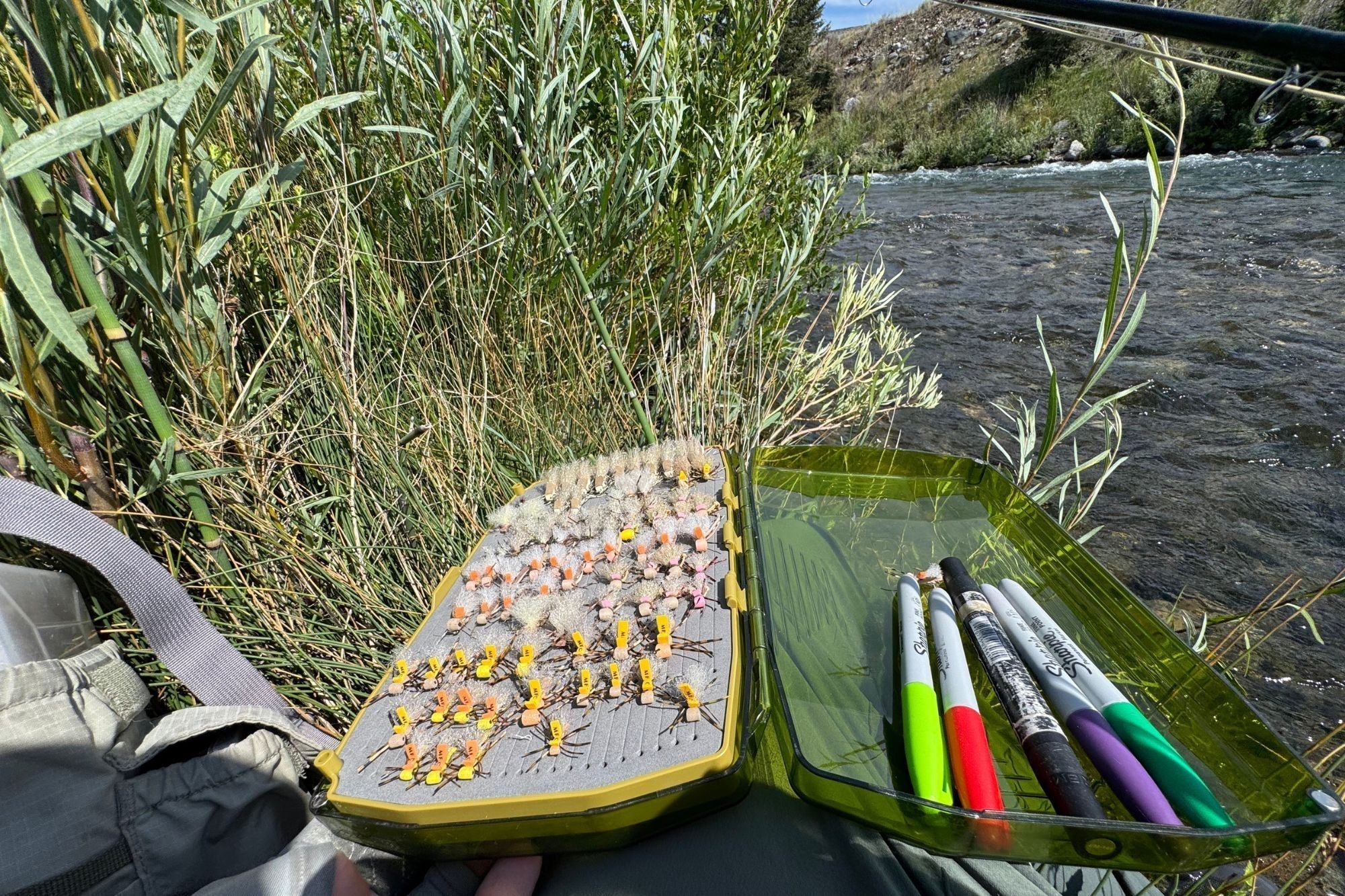 Madison River Fishing Report - August 13, 2026
