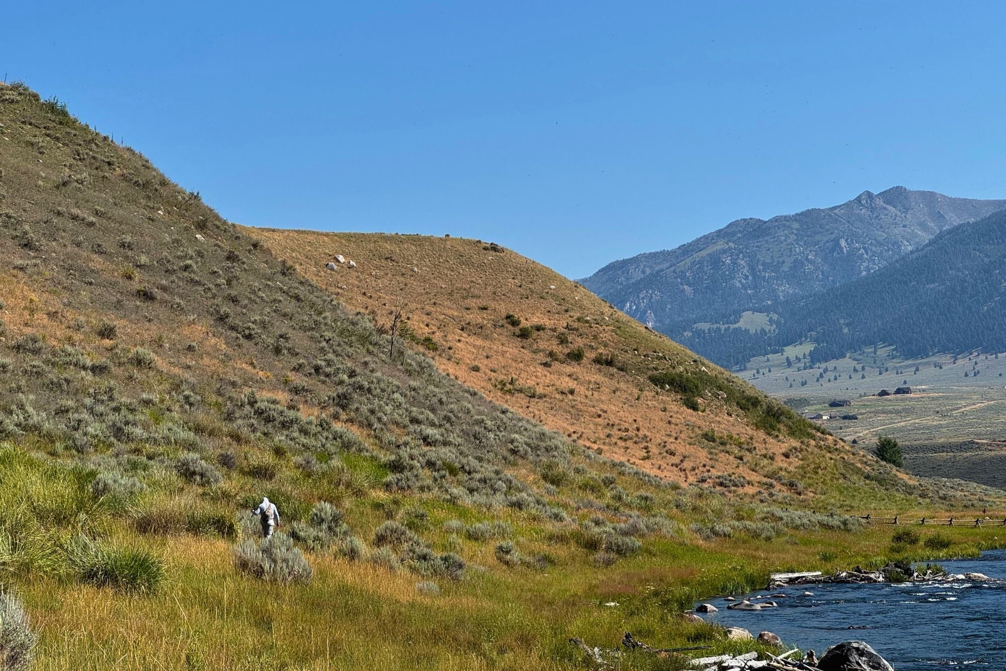 Madison River Fishing Report - August 20, 2026