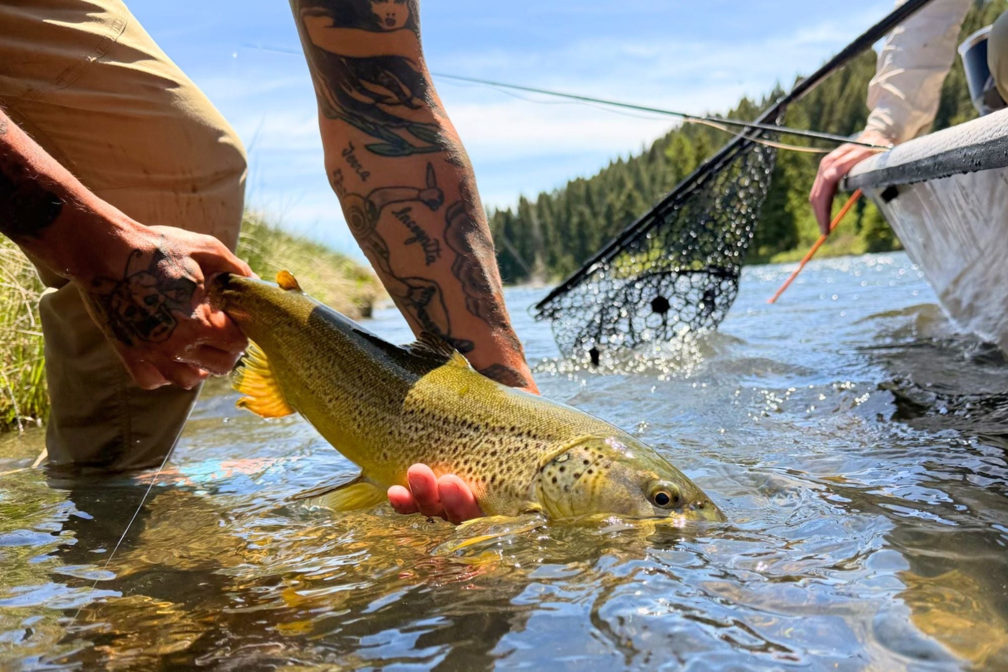 Madison River Fishing Report - June 18, 2026