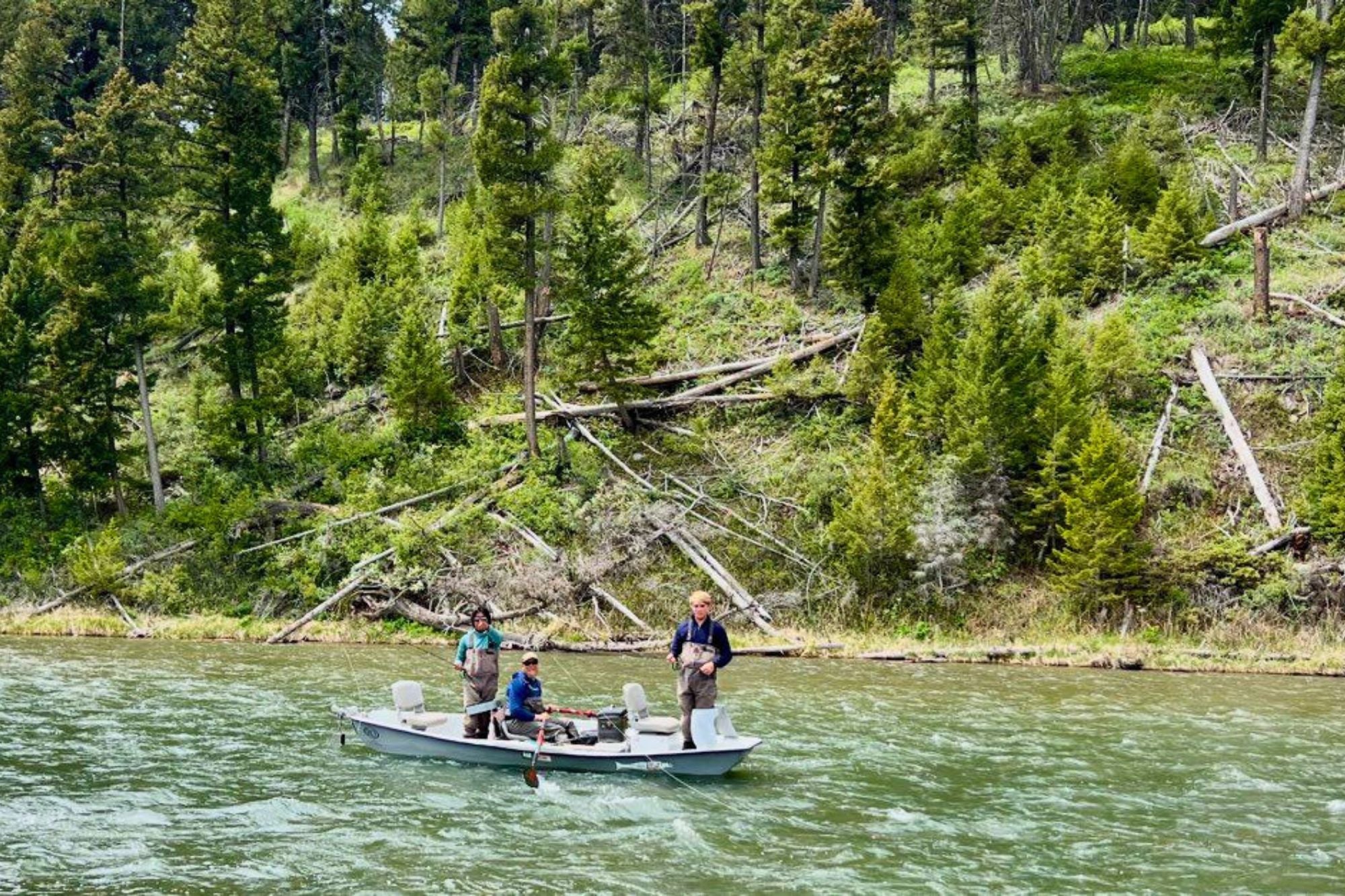 Madison River Fishing Report - June 4, 2026