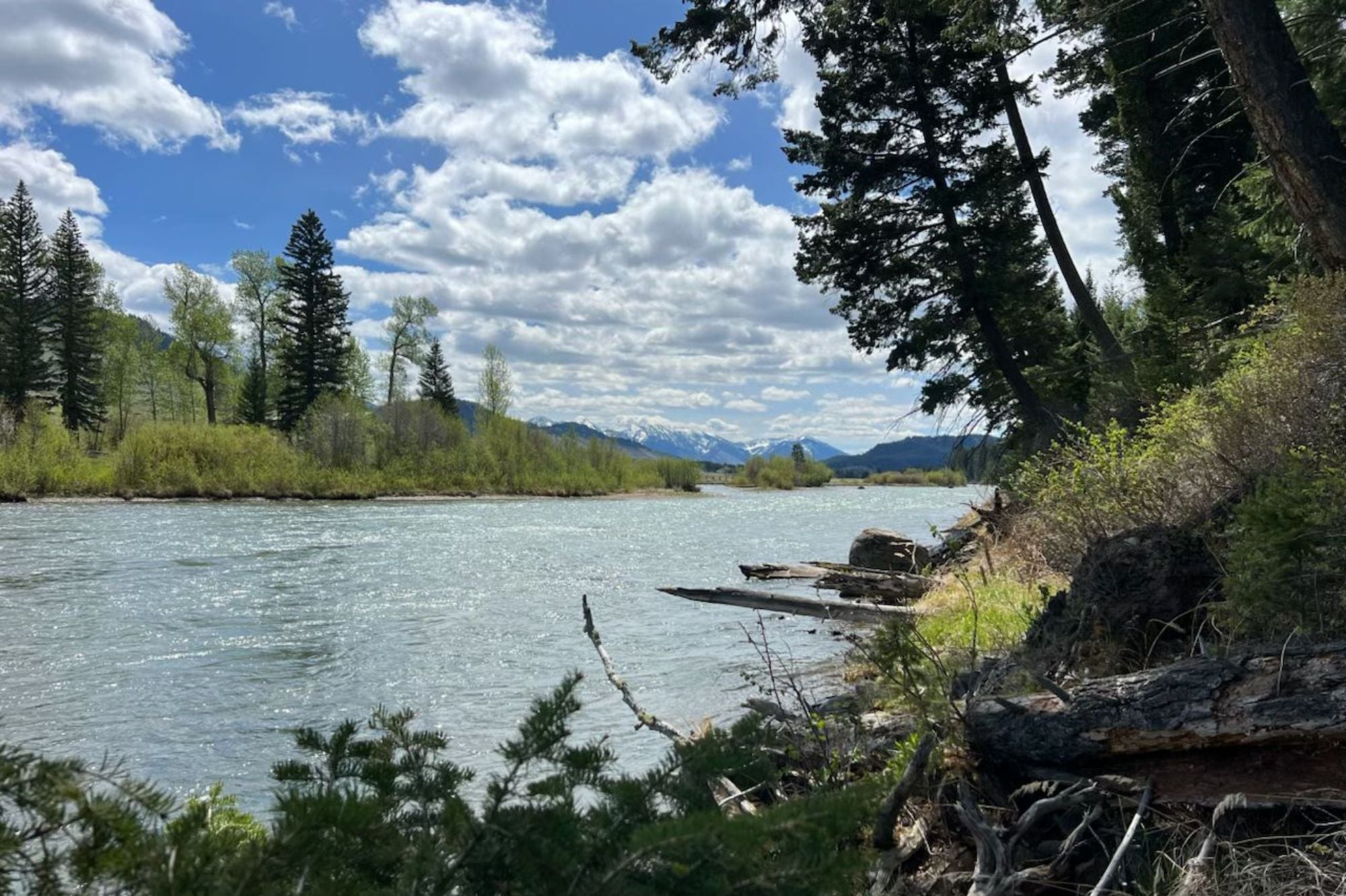 Madison River Fishing Report - May 28, 2026