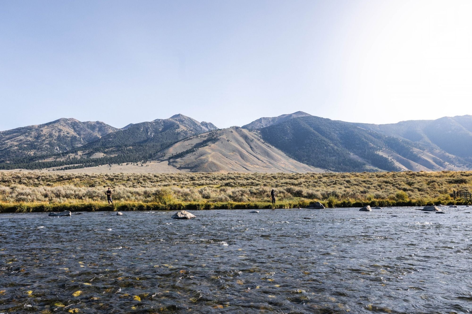 Madison River Fishing Report - October 22, 2026