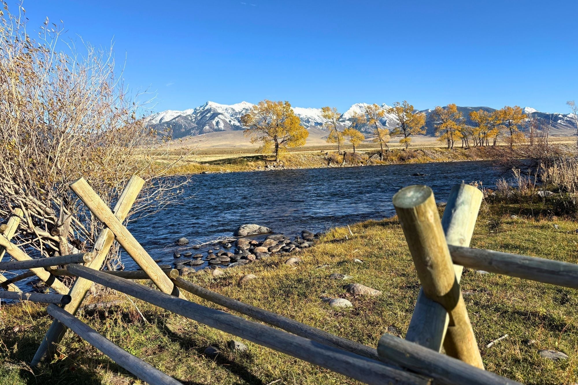 Madison River Fishing Report - October 23, 2025