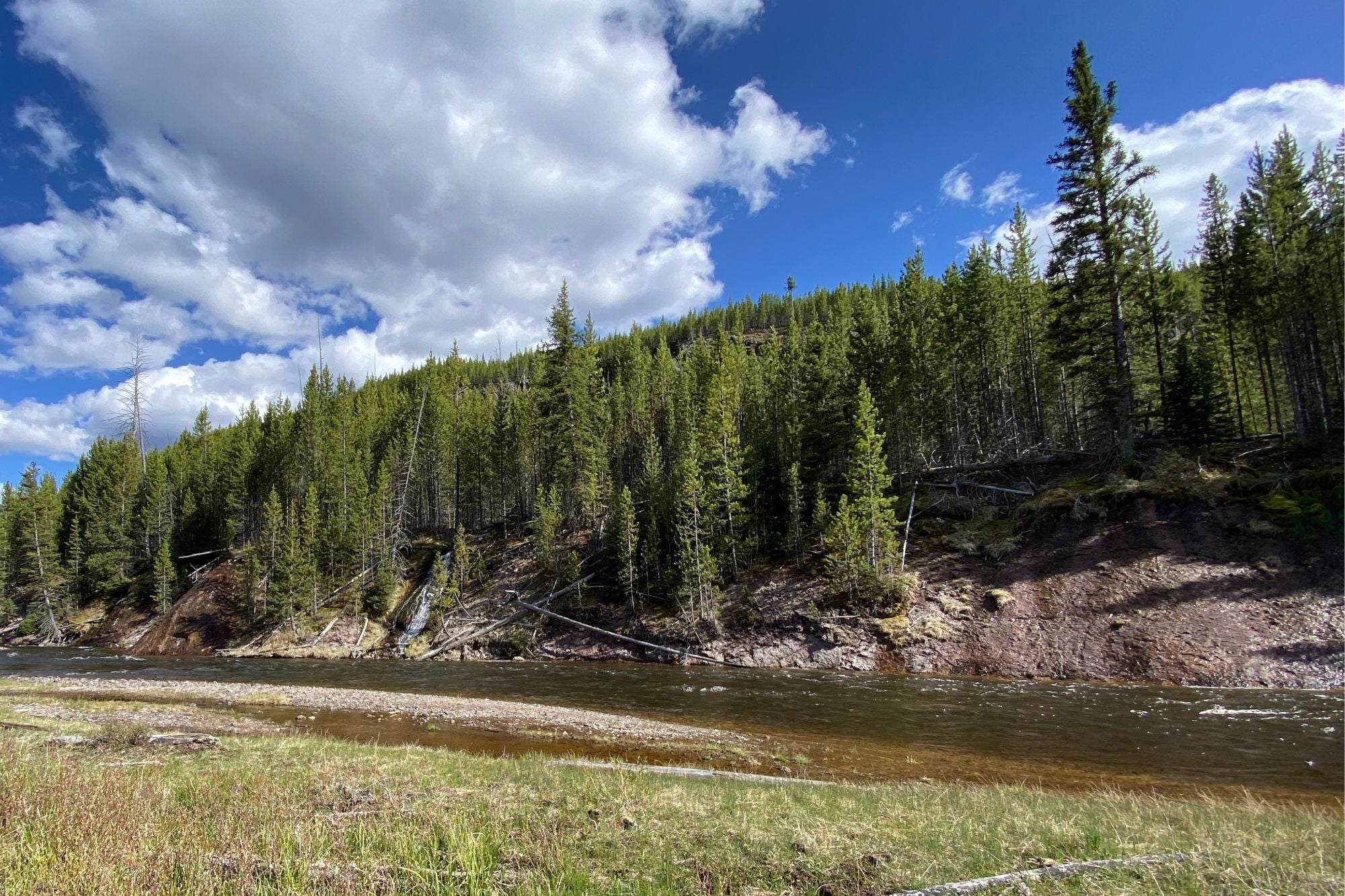 YNP Report - May 22, 2025