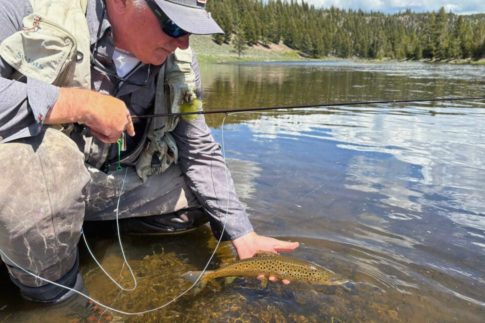 YNP Report - May 22, 2025