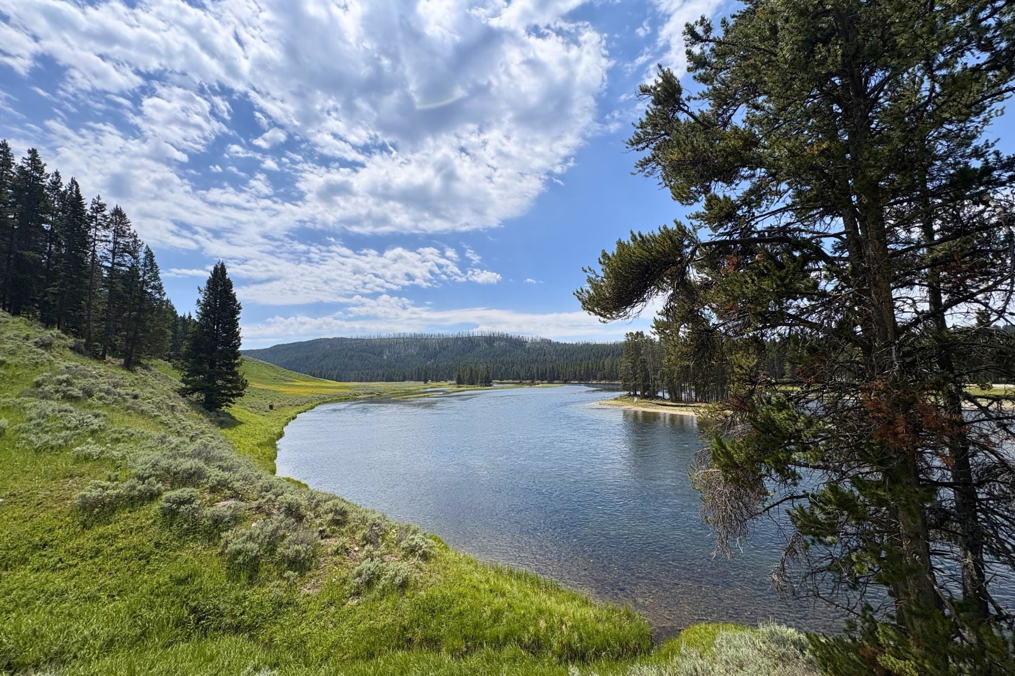 Yellowstone National Park Fishing Report - July 23, 2026