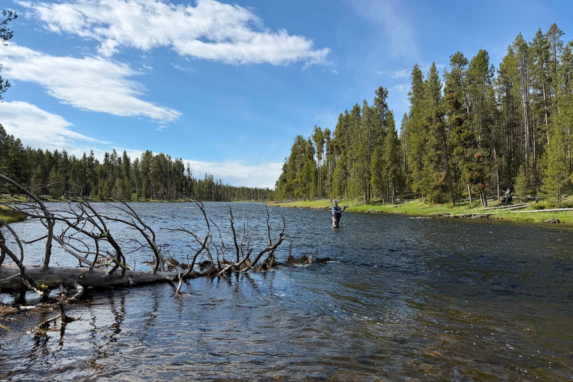 Yellowstone National Park Fishing Report - June 18, 2026;