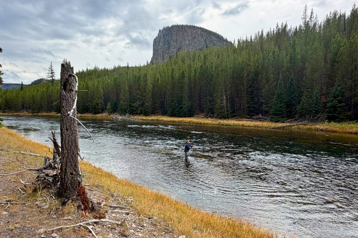 Yellowstone National Park Fishing Report - October 15, 2026 – Big Sky ...