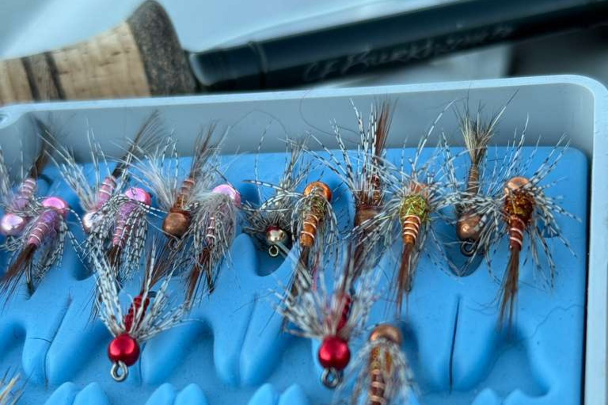 Yellowstone National Park Fishing Report - October 16, 2025