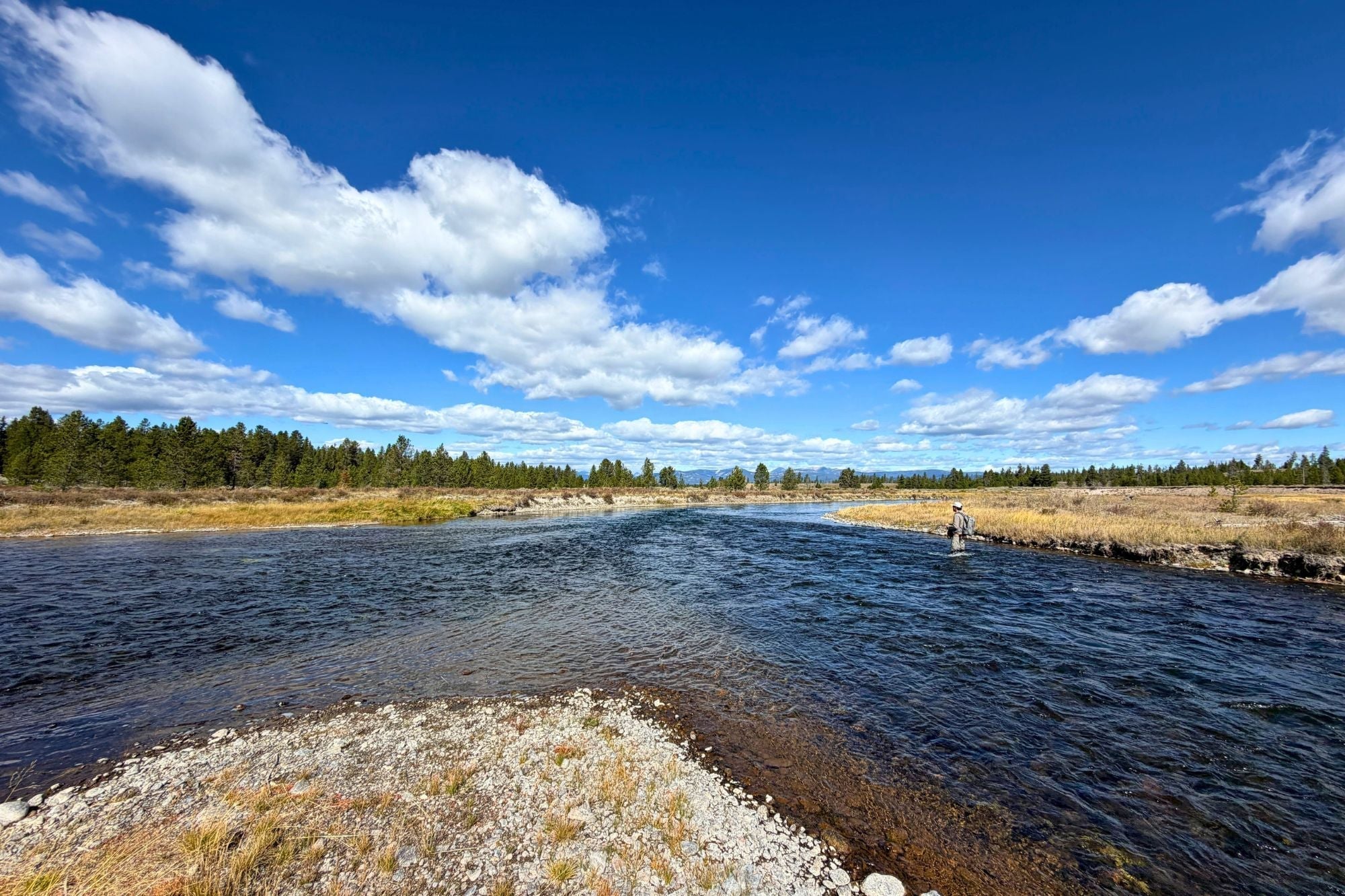 Yellowstone National Park Fishing Report - September 17, 2026