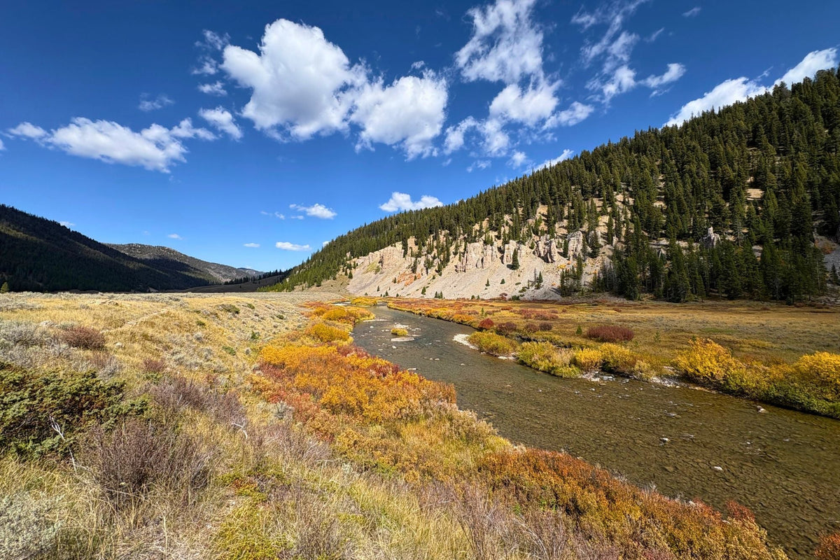 Yellowstone National Park Fishing Report - September 25, 2025 – Big Sky