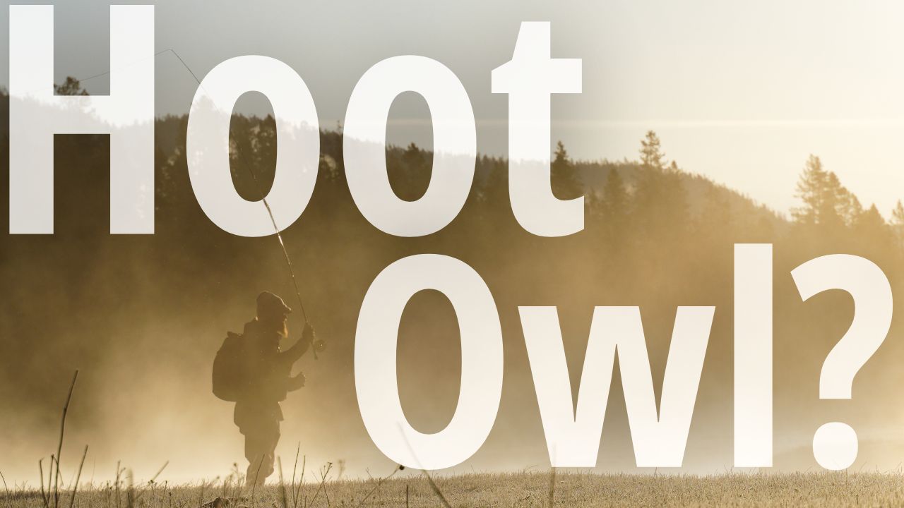 Hoot Owl Update - August, 2026