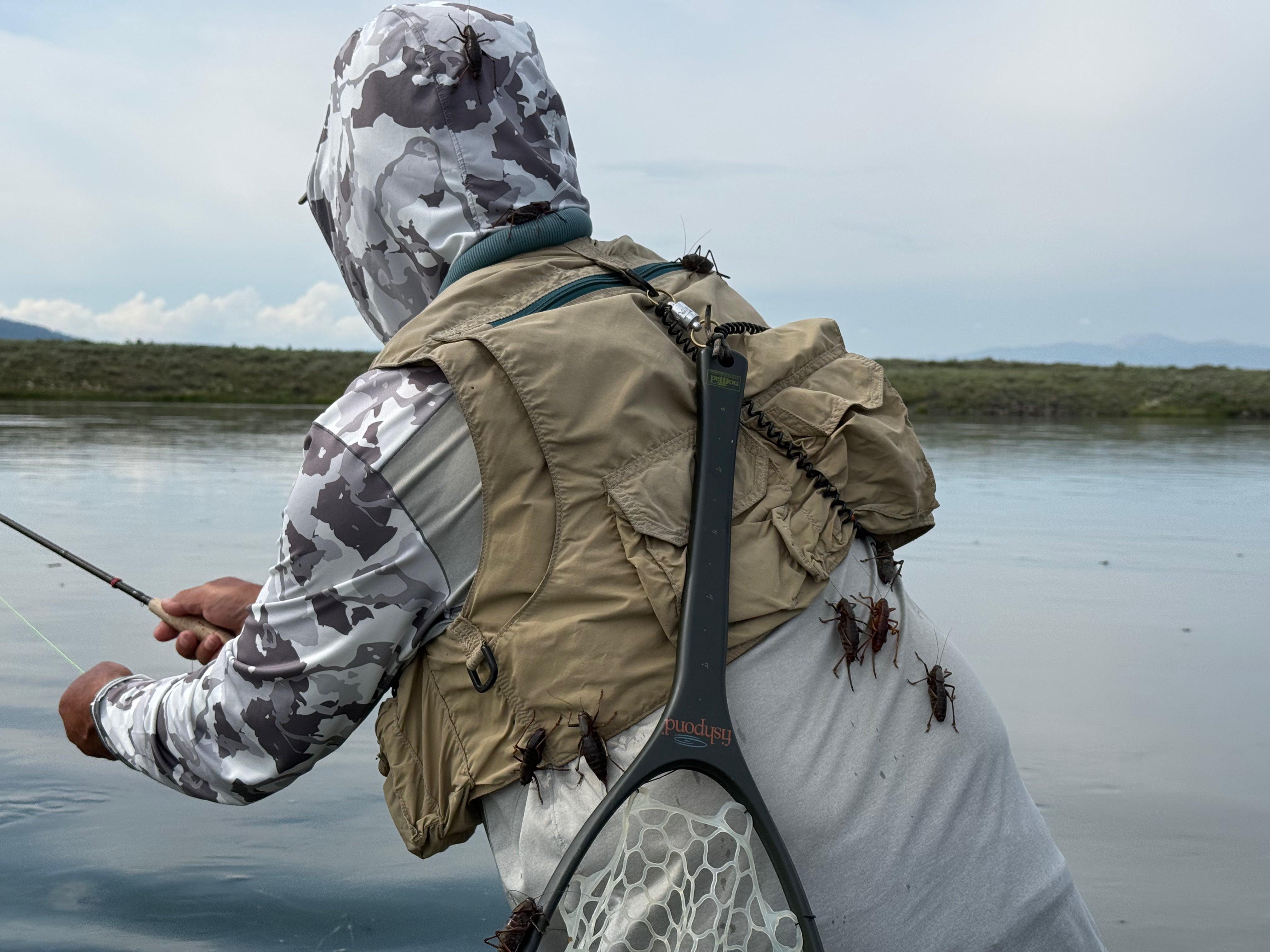 Henry's Fork Fishing Report - July 23, 2026