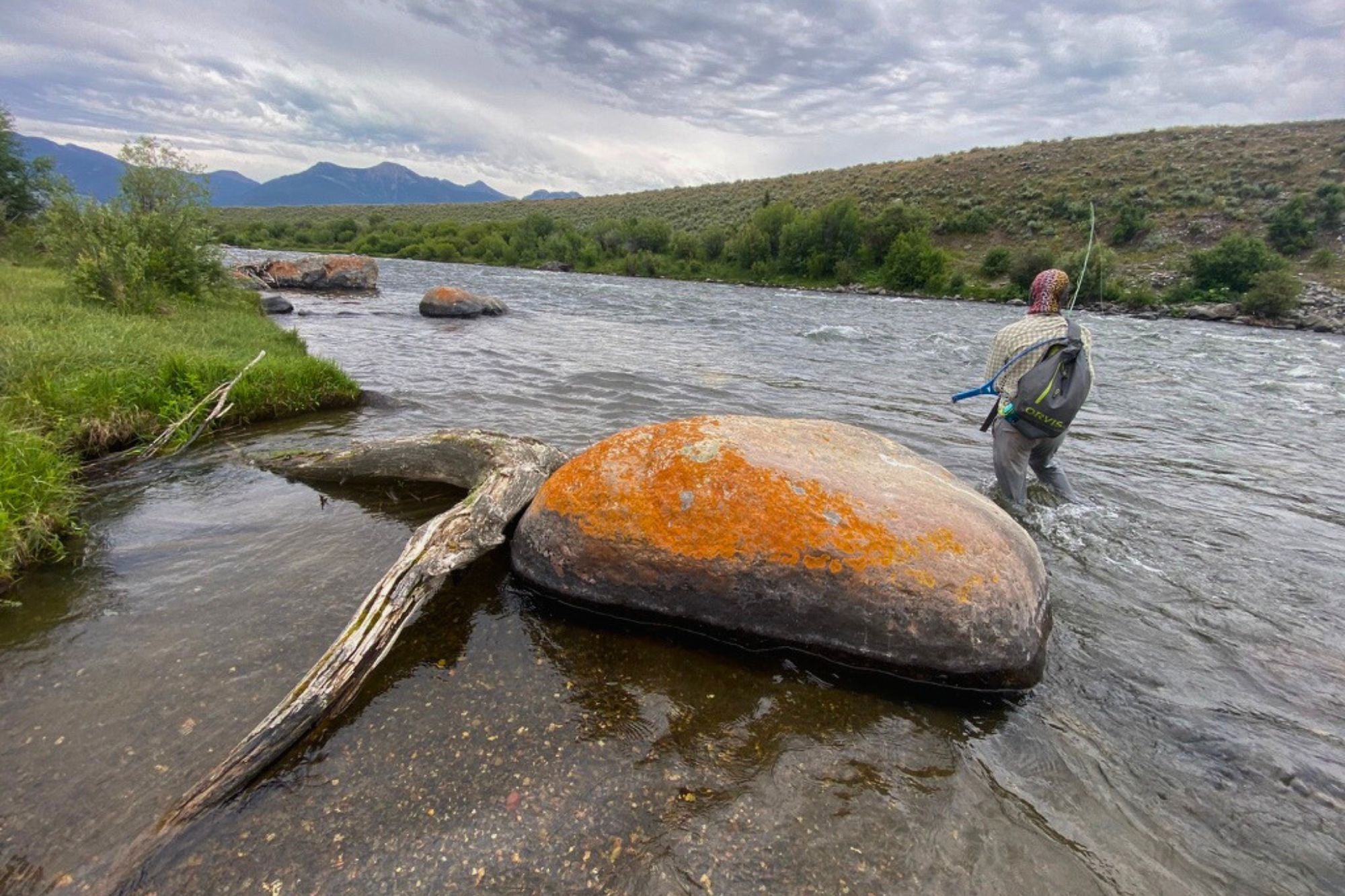 Madison River Report - July 27, 2023