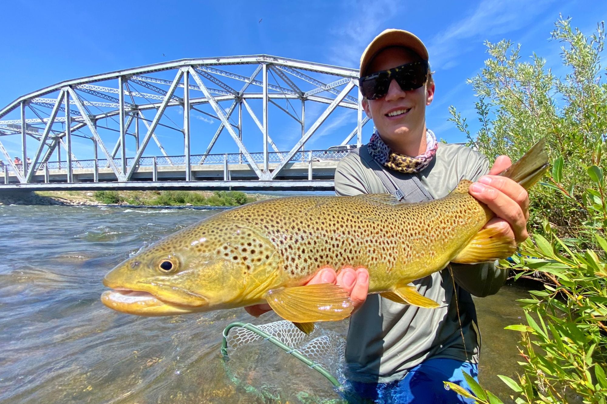 Madison River Report - July 20, 2023