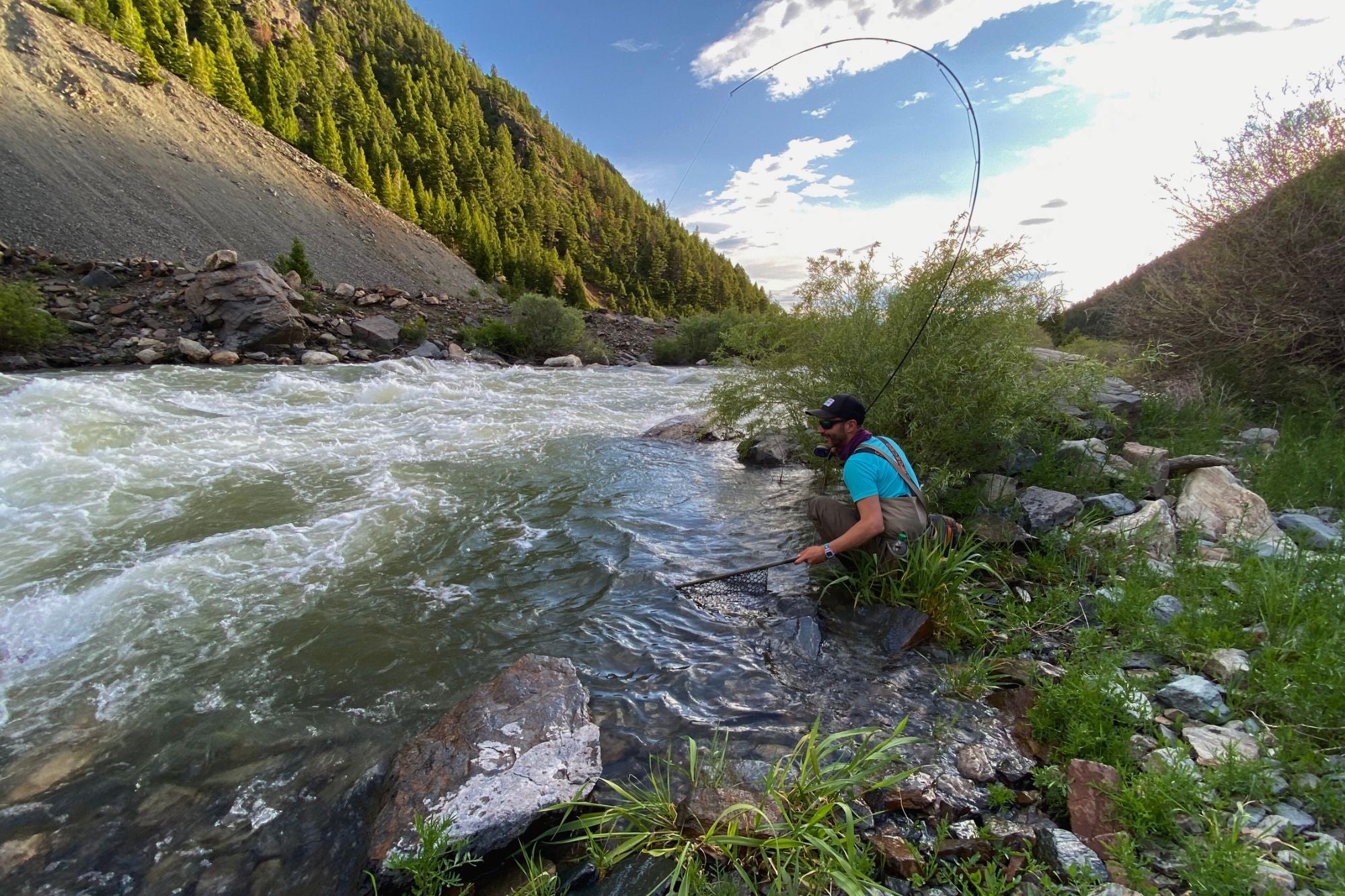 Madison River Report - July 6, 2023