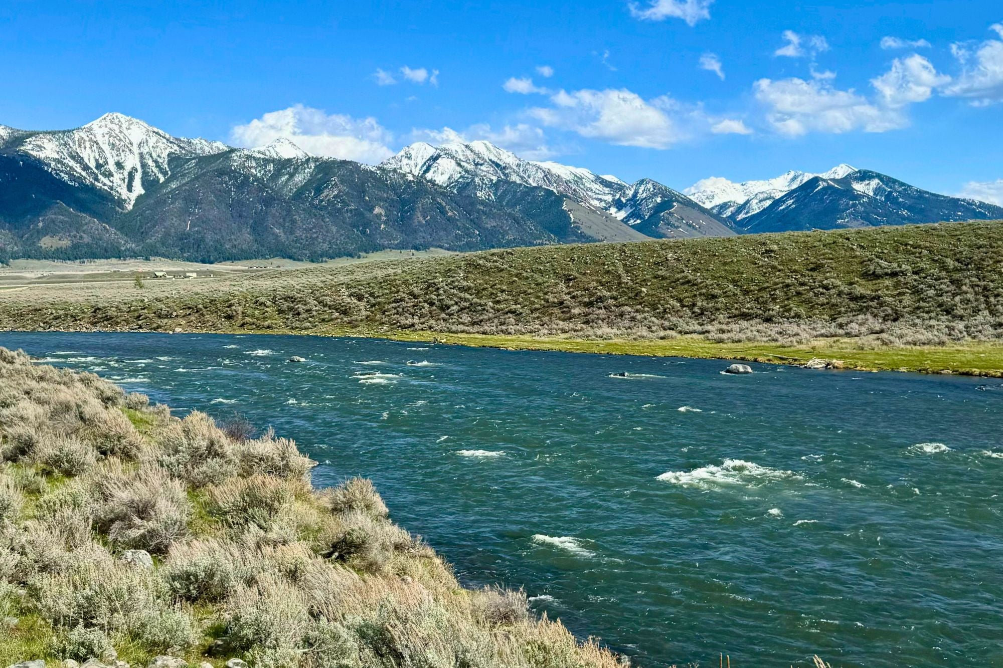 Madison River Report - May 30, 2024