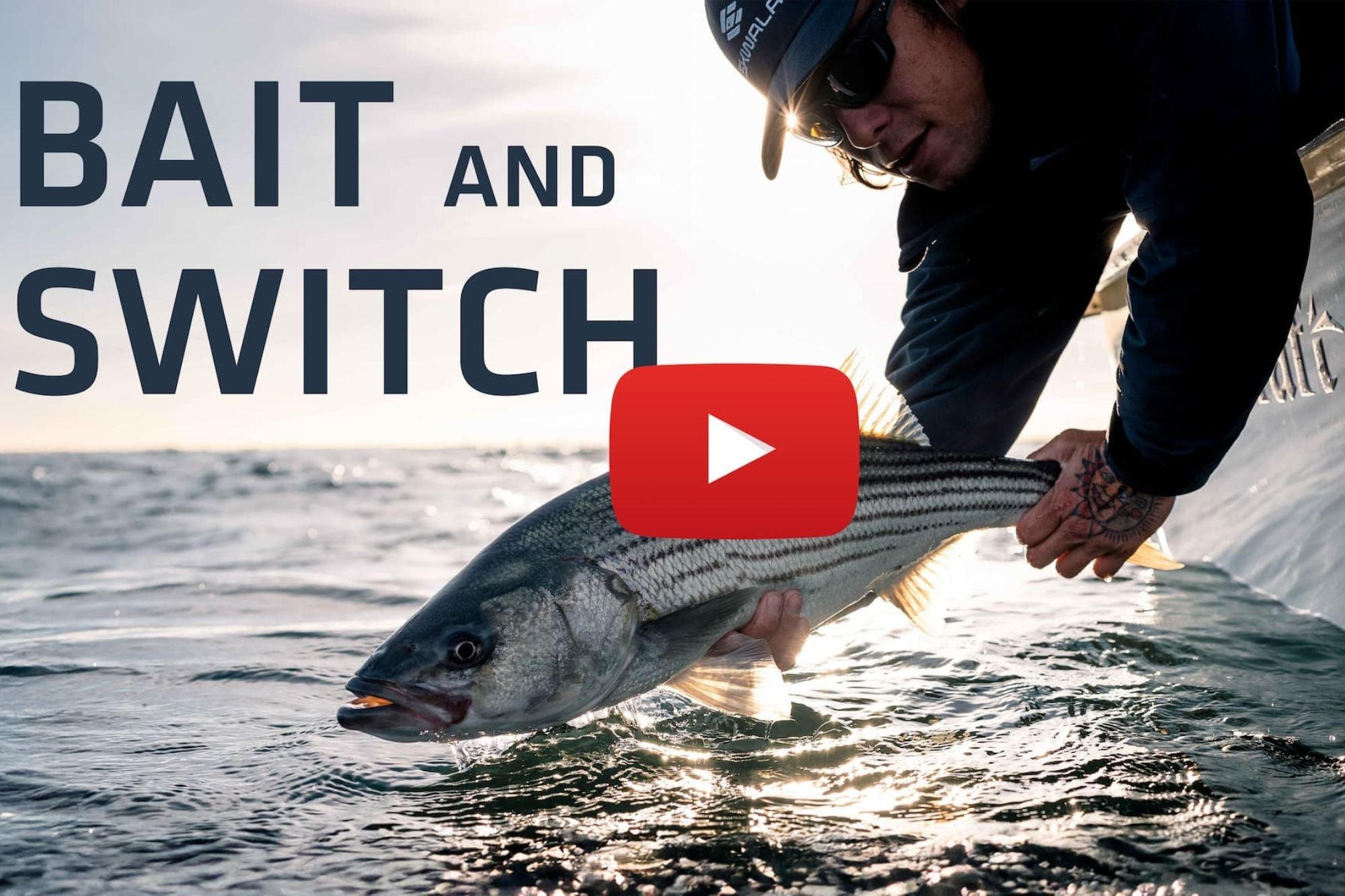 New SKWALA Video - Bait and Switch