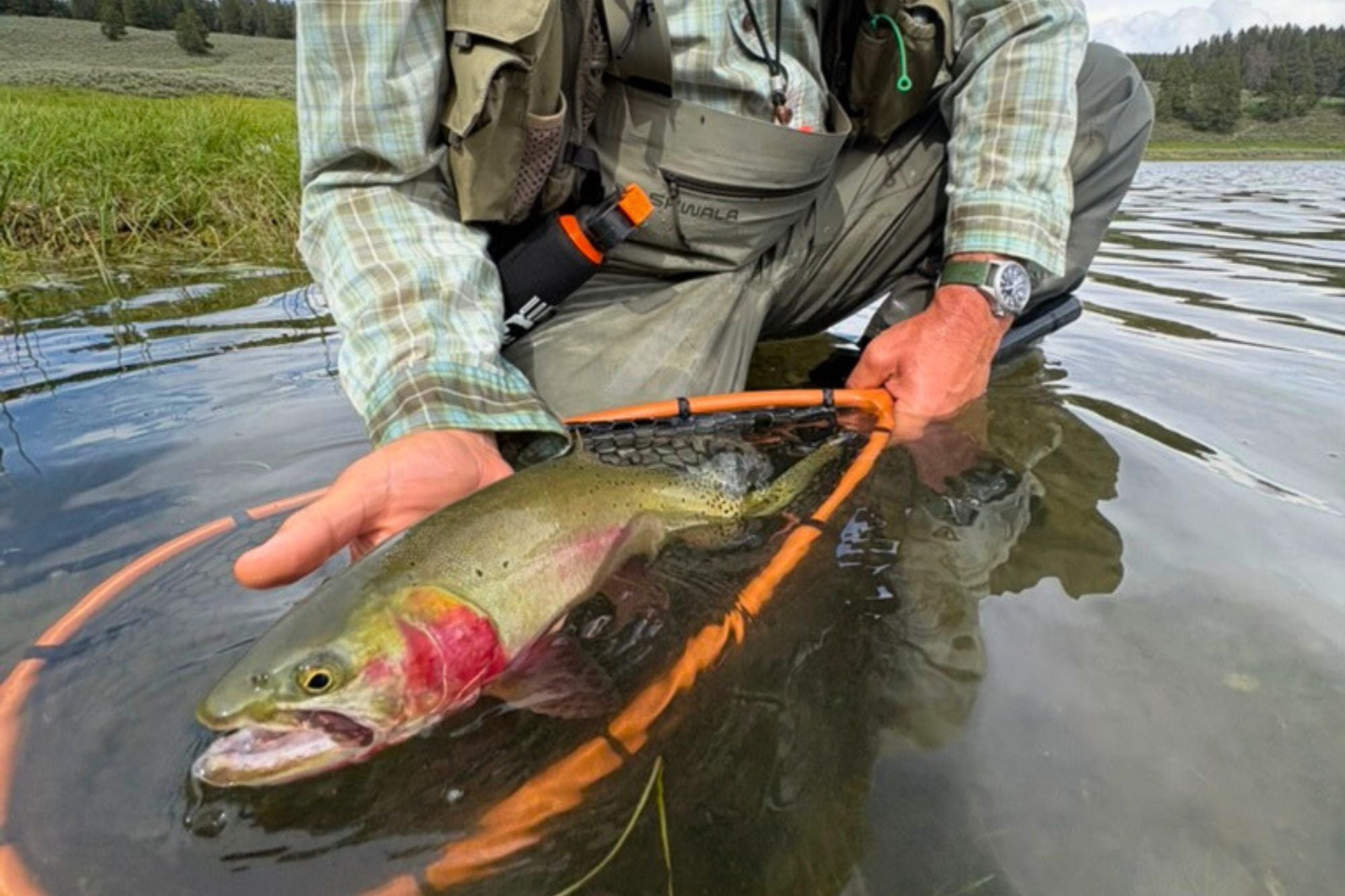 Yellowstone National Park Fishing Report - August 13, 2026