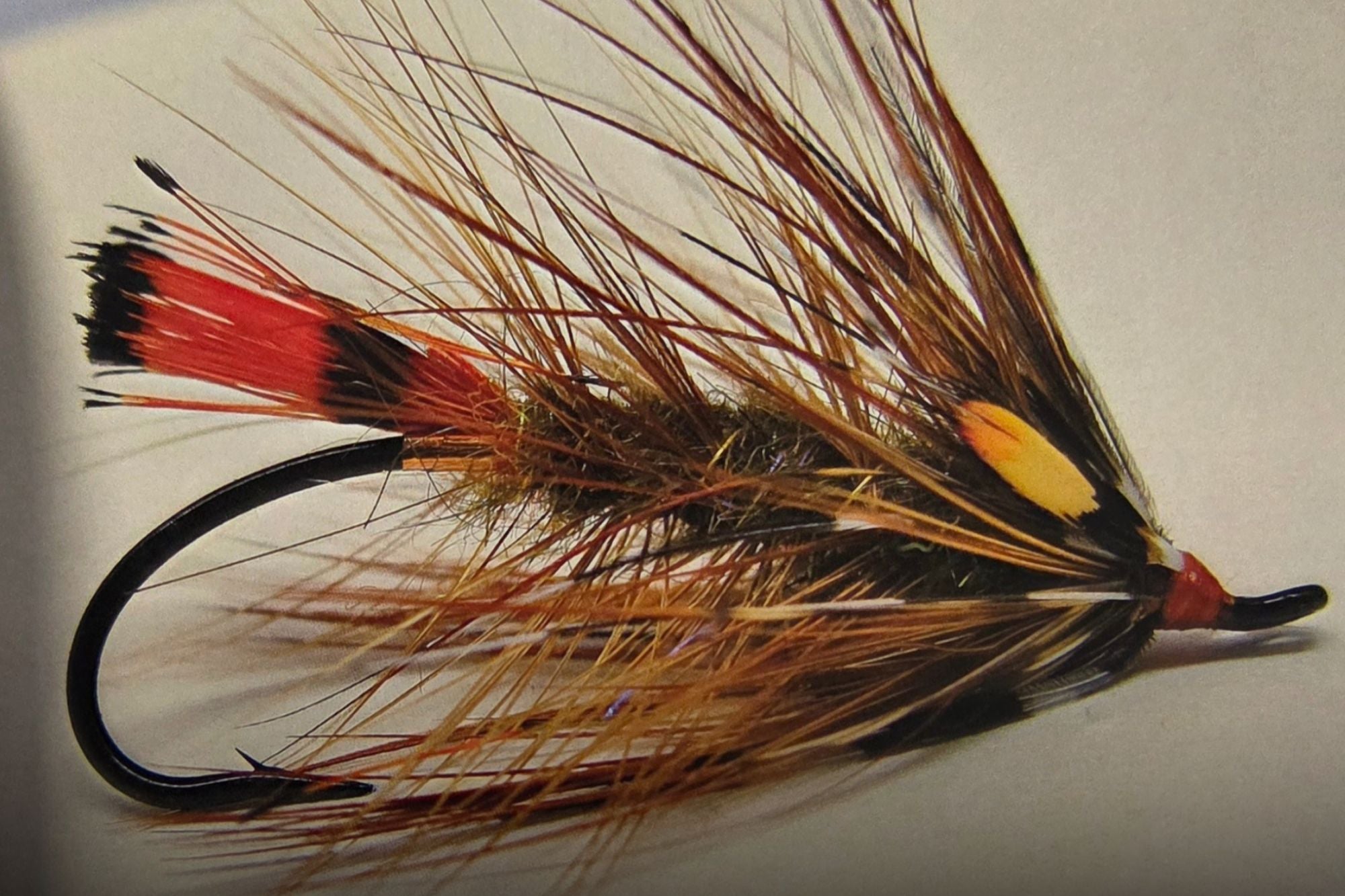 New Fly Fishing Books from Swing The Fly Press | The Bookshelf Vol. 6