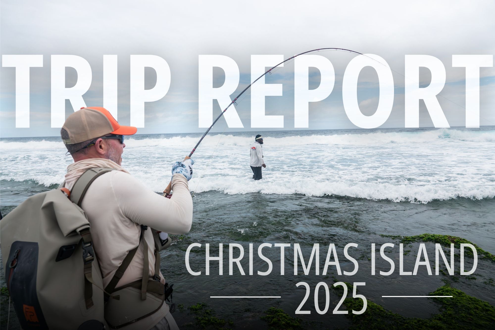 Trip Report - Christmas Island 2025