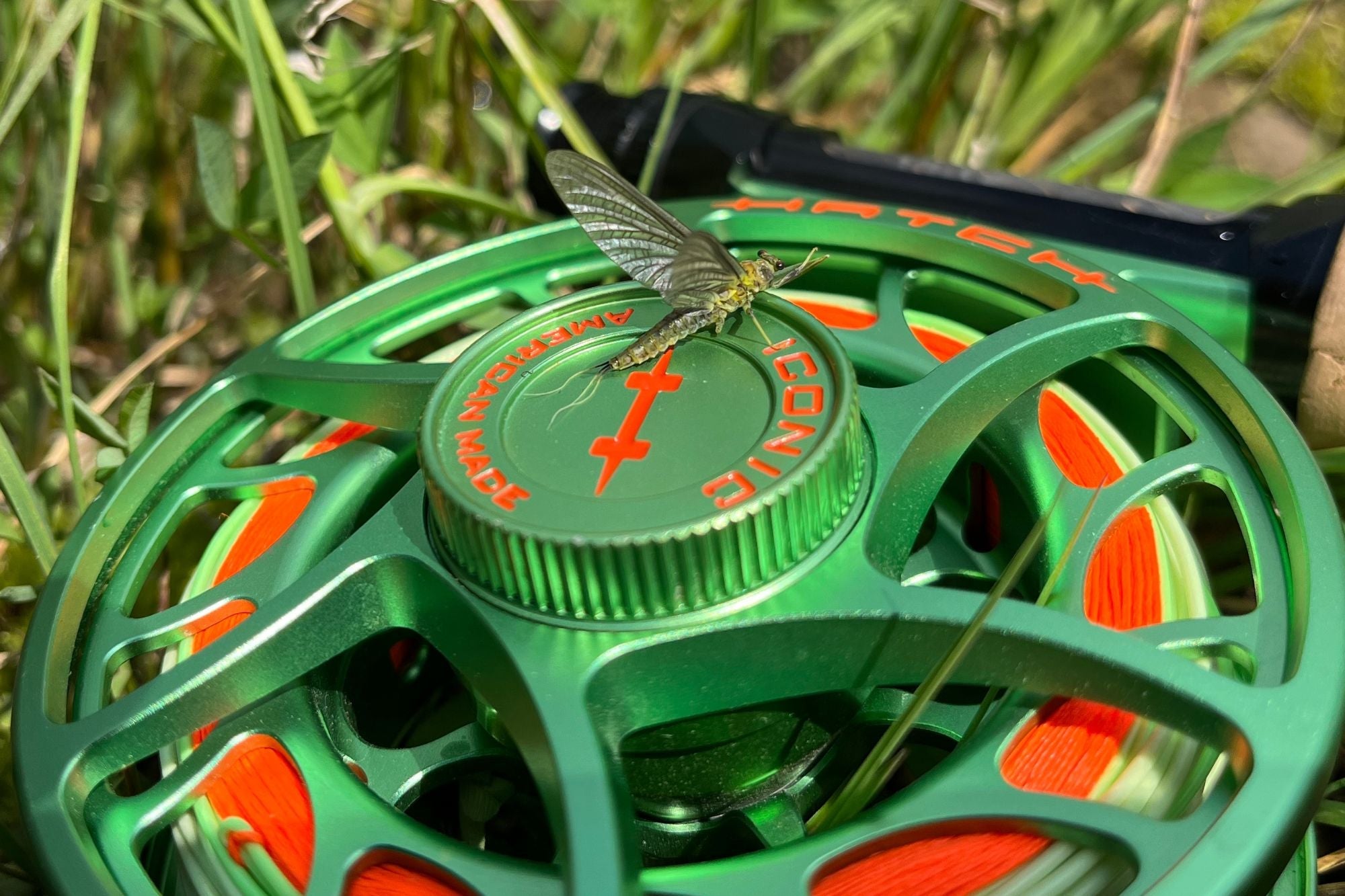 Limited Edition Reels