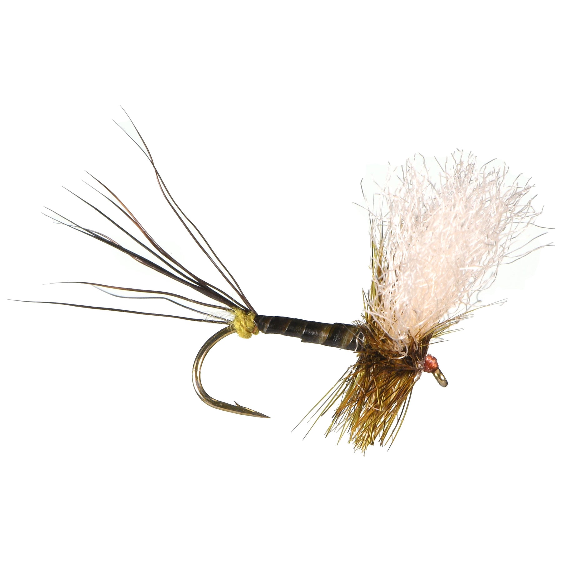 Eastern Drake Patterns Hatch Profile - Green Drakes – Big Sky Anglers