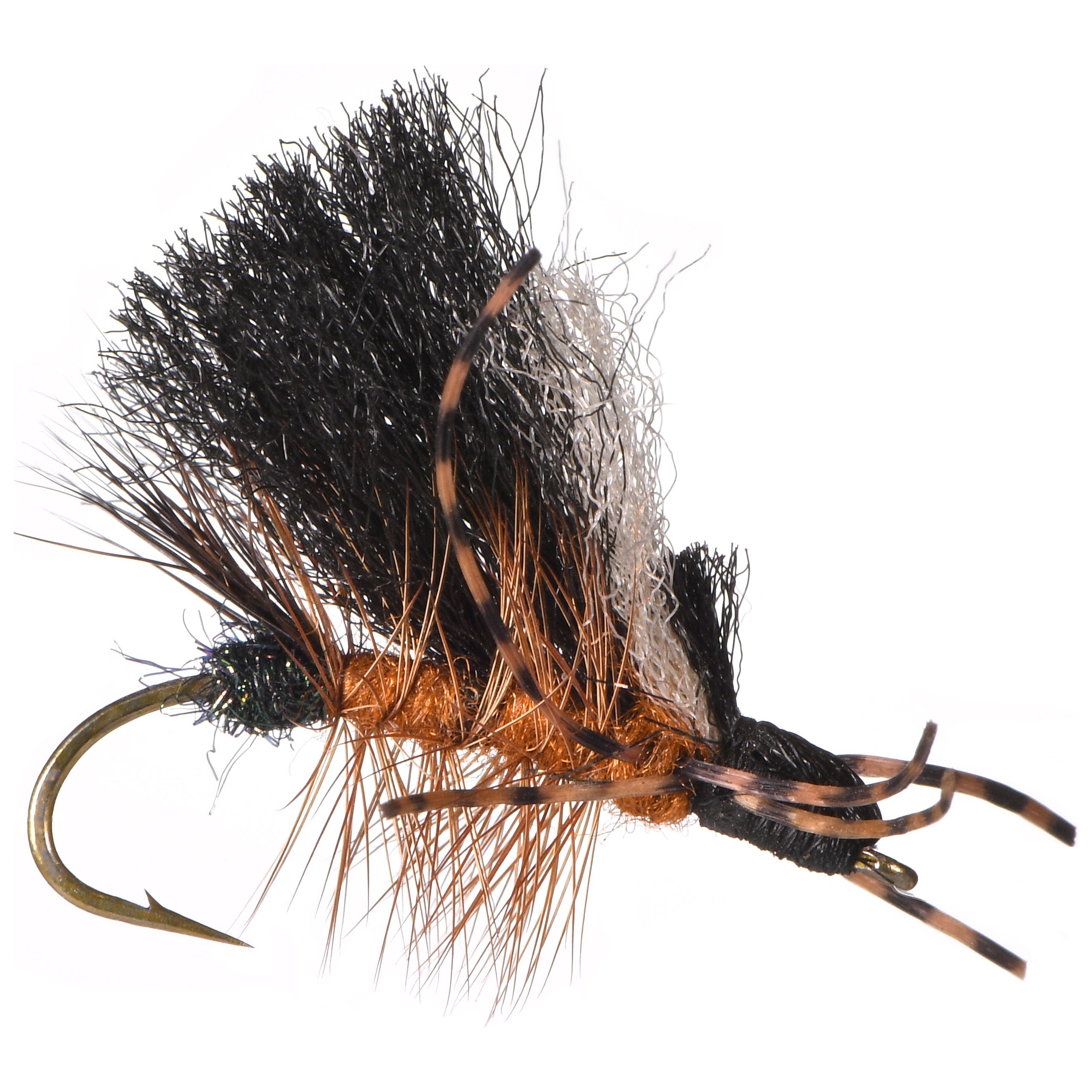 Attractor Dry Flies for Trout - Fly Fishing Flies – Tagged Hatch_Salmon Fly  – BigTimeFlies