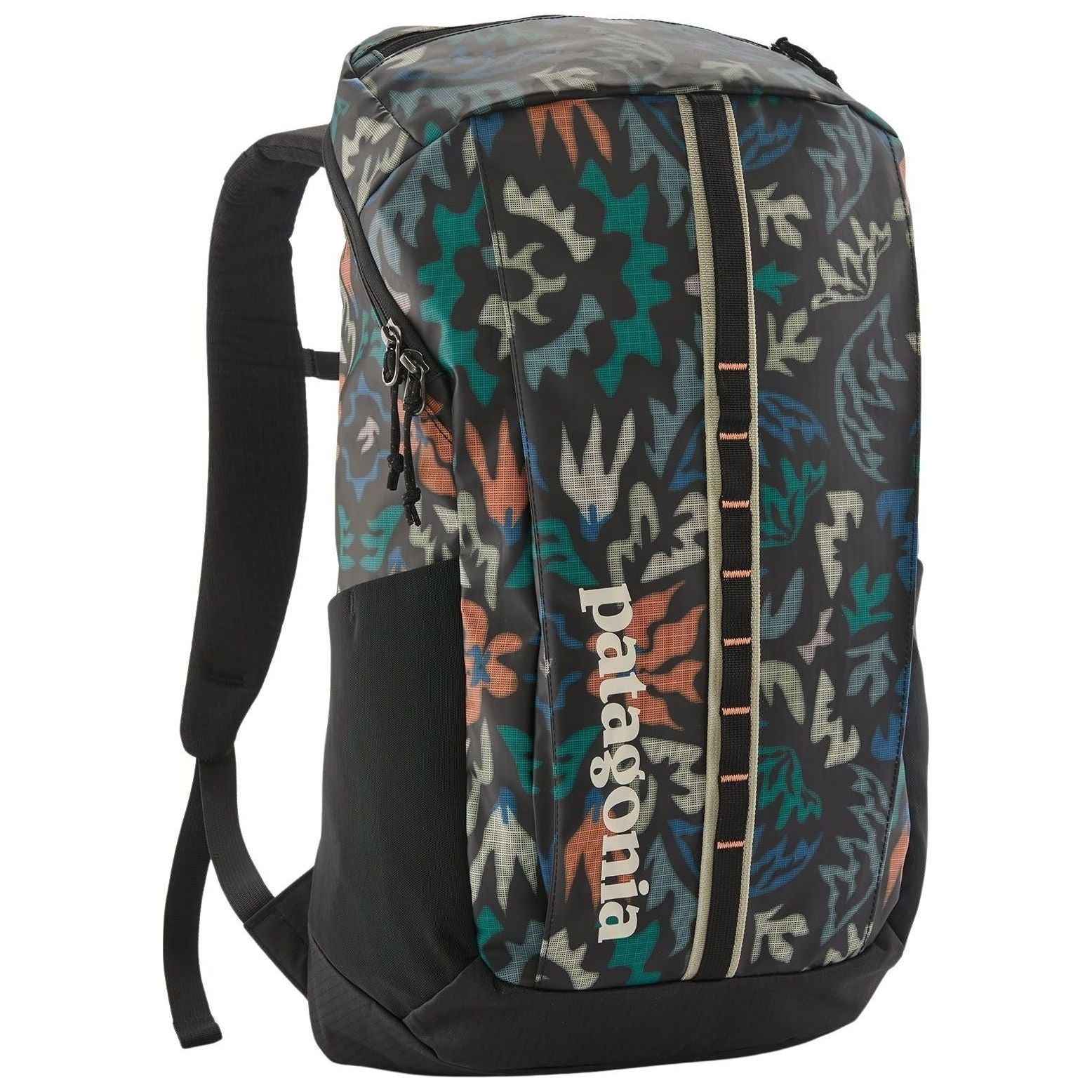 Patagonia Black Hole Pack 25L Kaleido: Black