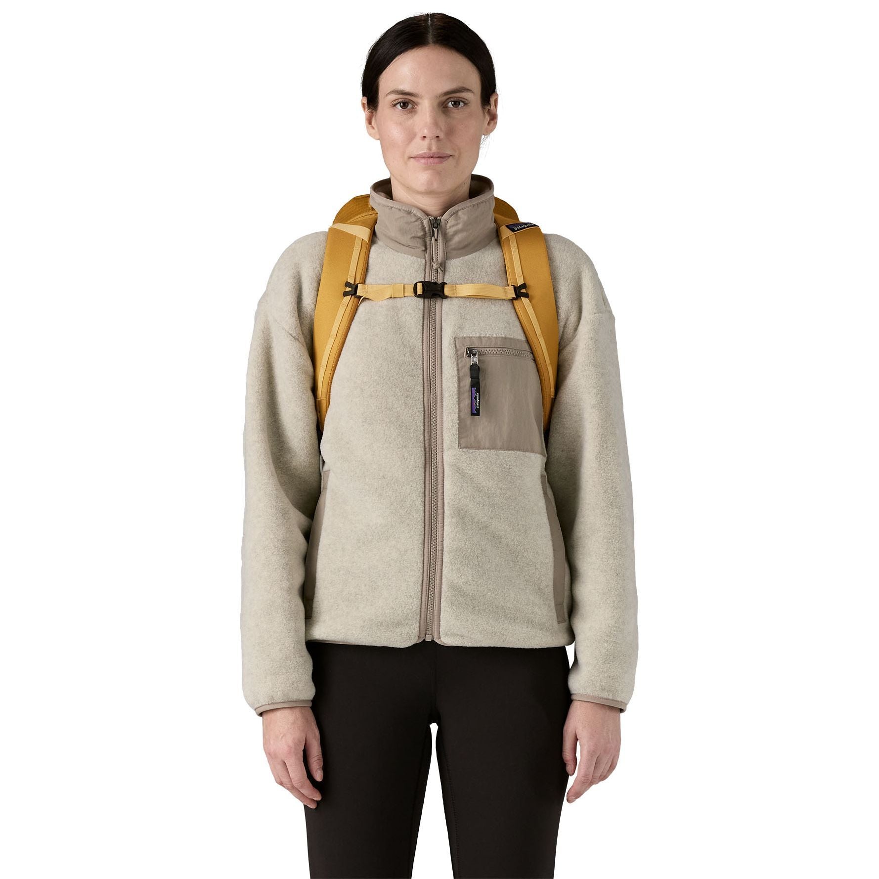 Patagonia Black Hole Pack 25L Pufferfish Gold with Beeswax Tan Image 04