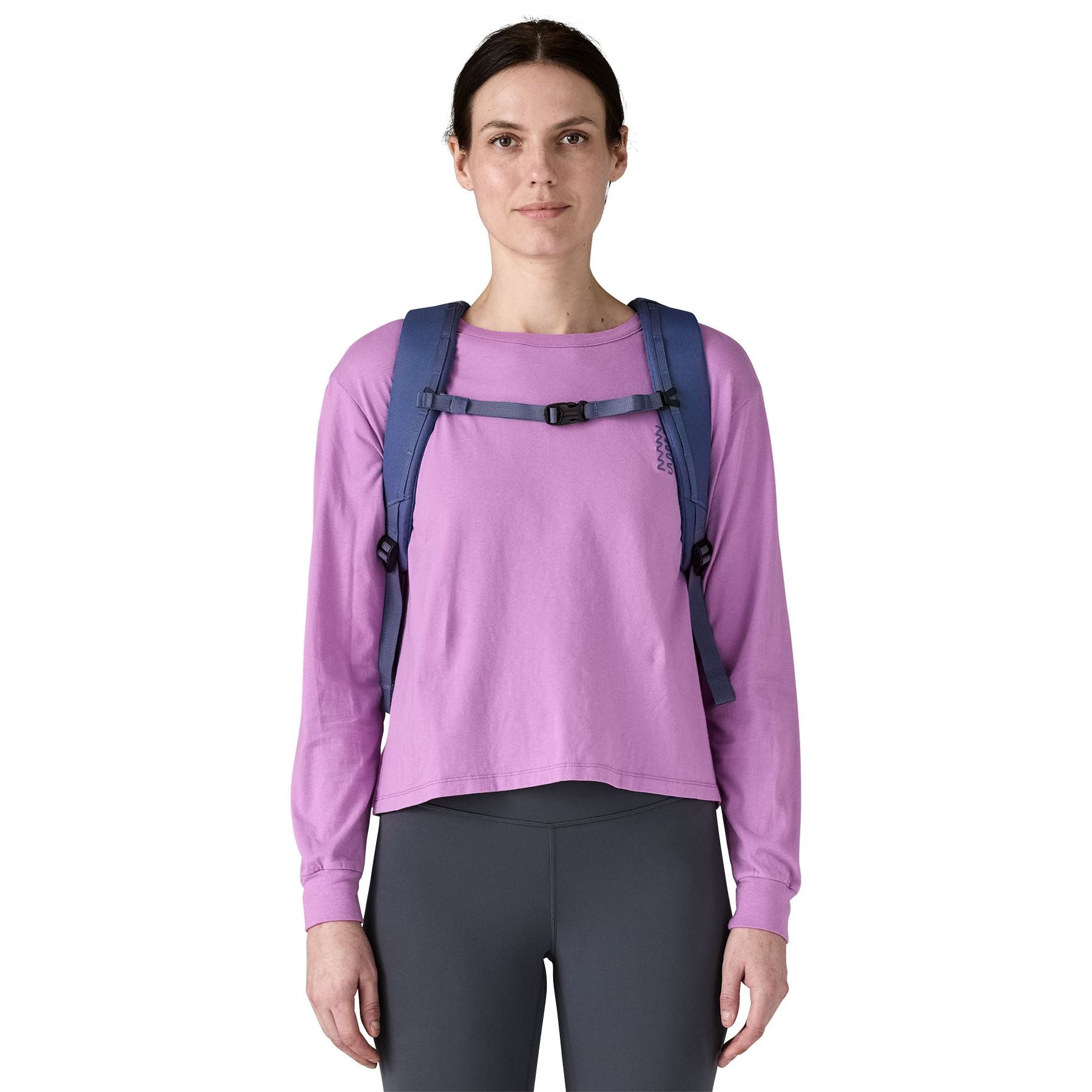Patagonia Black Hole Pack 25L Sale Current Blue Image 04