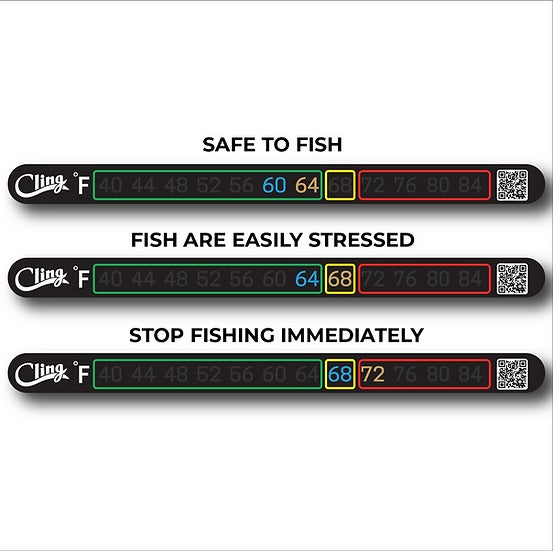 big sky fish nets crist Cast Net for fish-Mullet, Tilapia, Drum, Cat and more- bigger mesh, sink very fast Mid Lakes Big Fish Net 22 x 27 with 36 Sliding Aluminum Handle Dimensions Christmas tree made of fishing