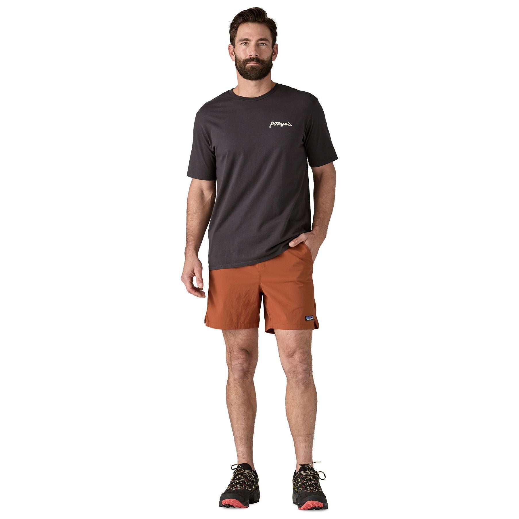 Patagonia Men's Baggies Lights - 6" Robin Brown Image 02