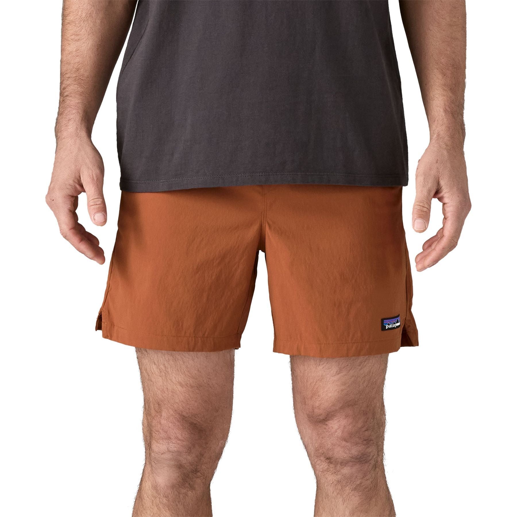 Patagonia Men's Baggies Lights - 6" Robin Brown Image 03