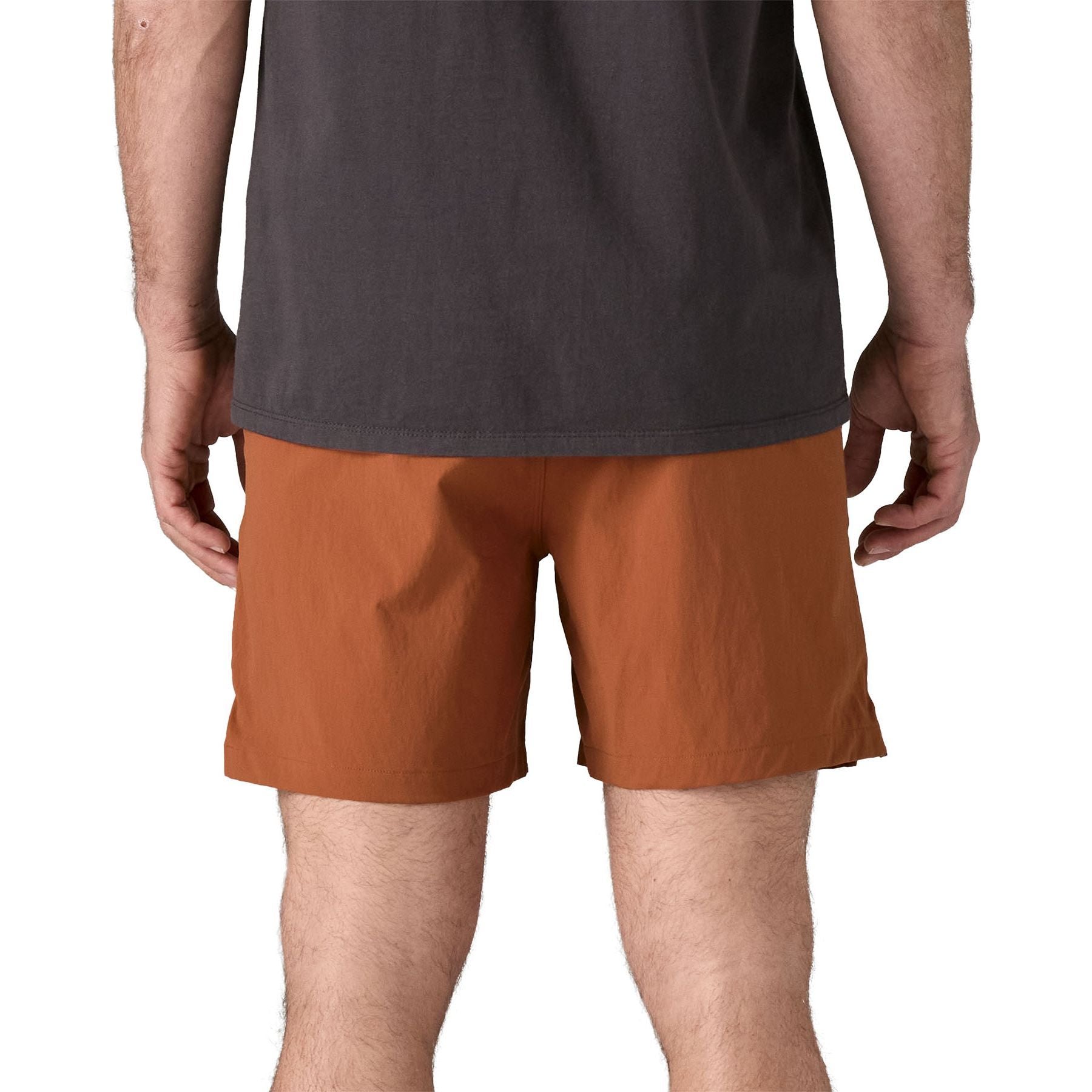 Patagonia Men's Baggies Lights - 6" Robin Brown Image 04